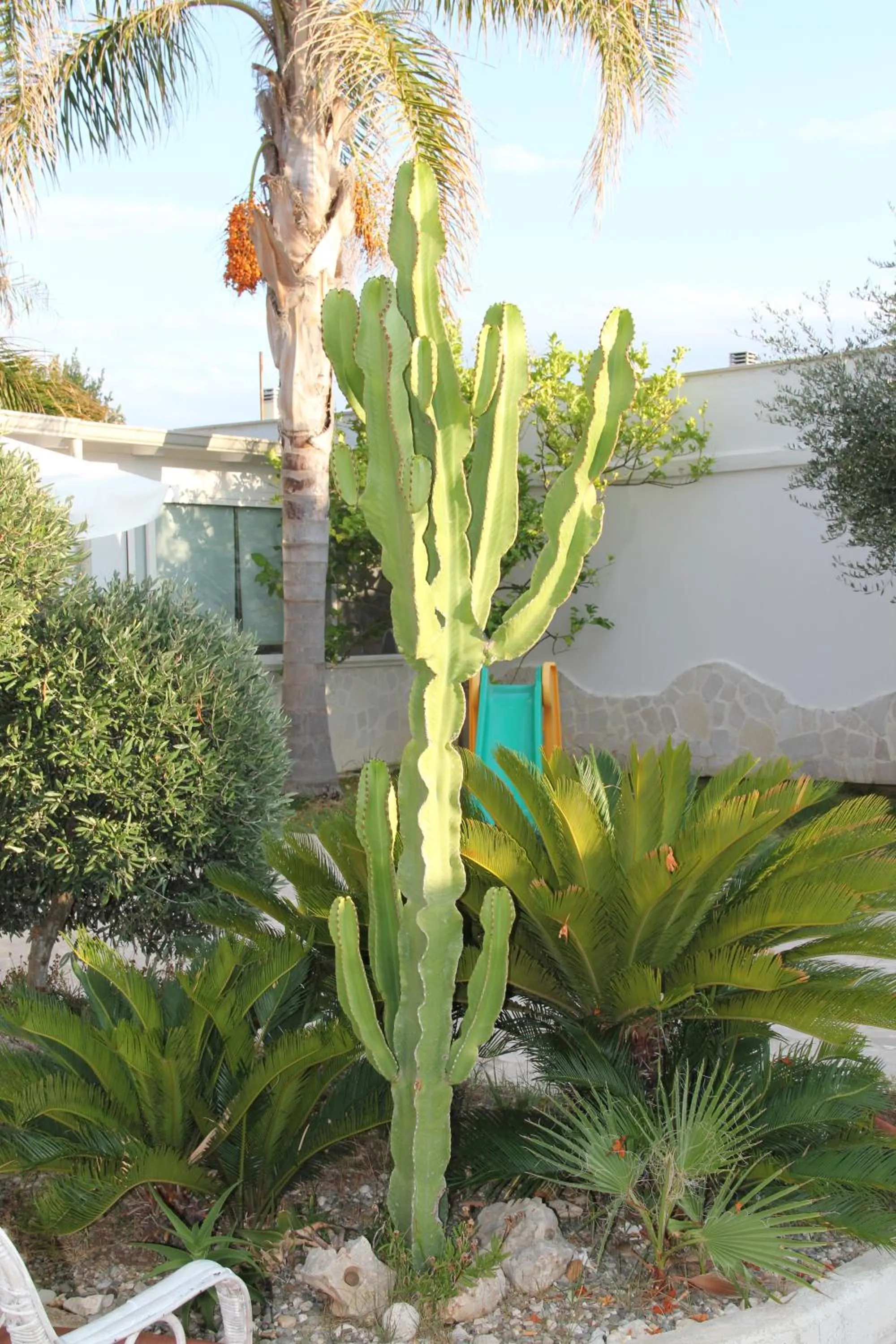 Day in B&B Valentino