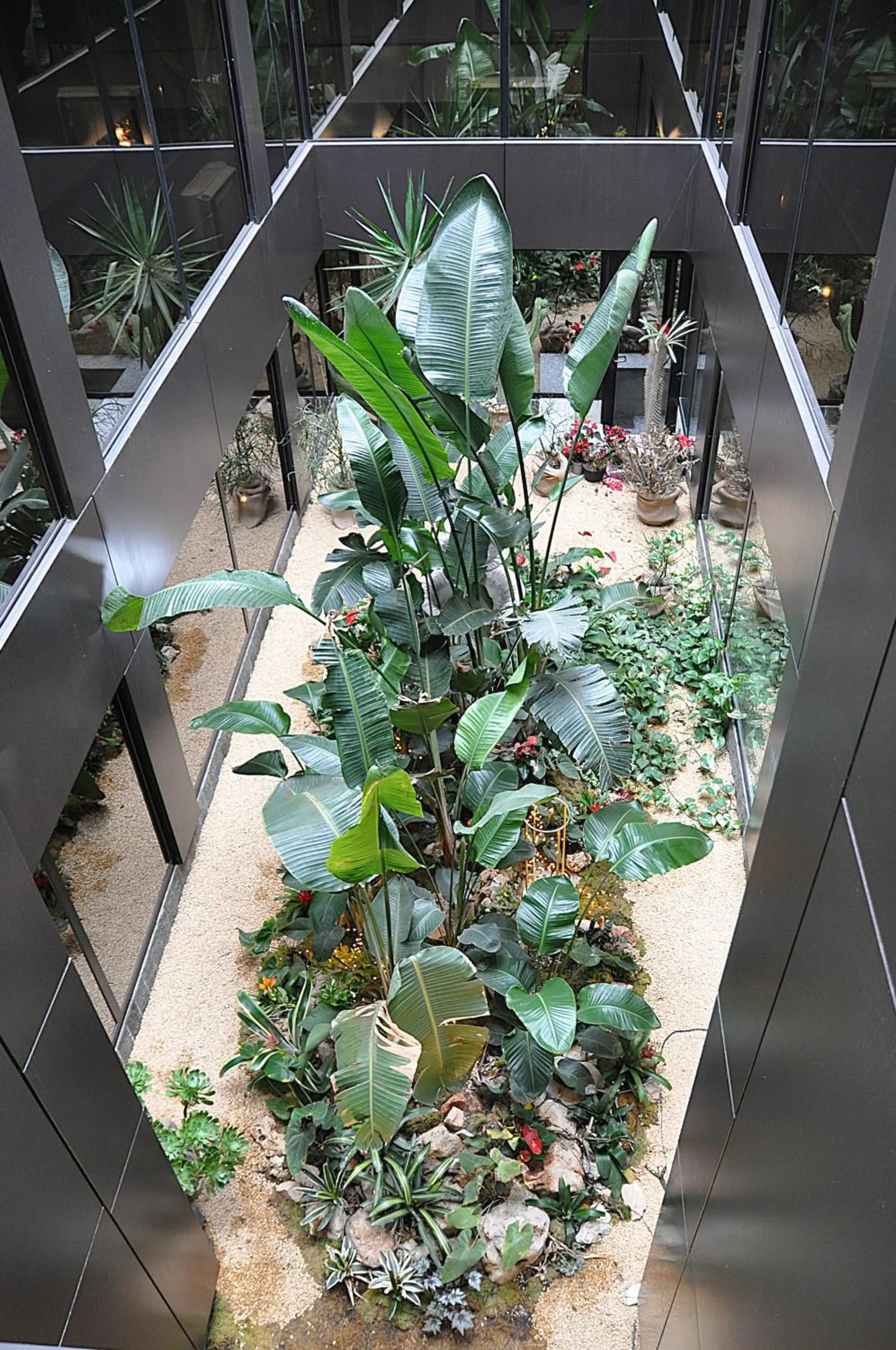 Garden in Hotel Comtur