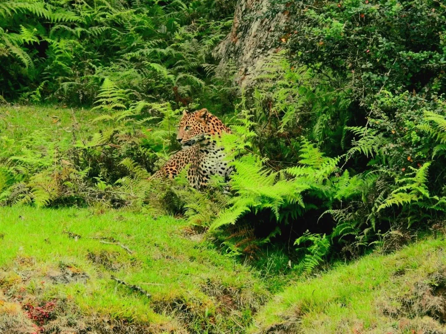 Nearby landmark in Chimneys Nuwara Eliya
