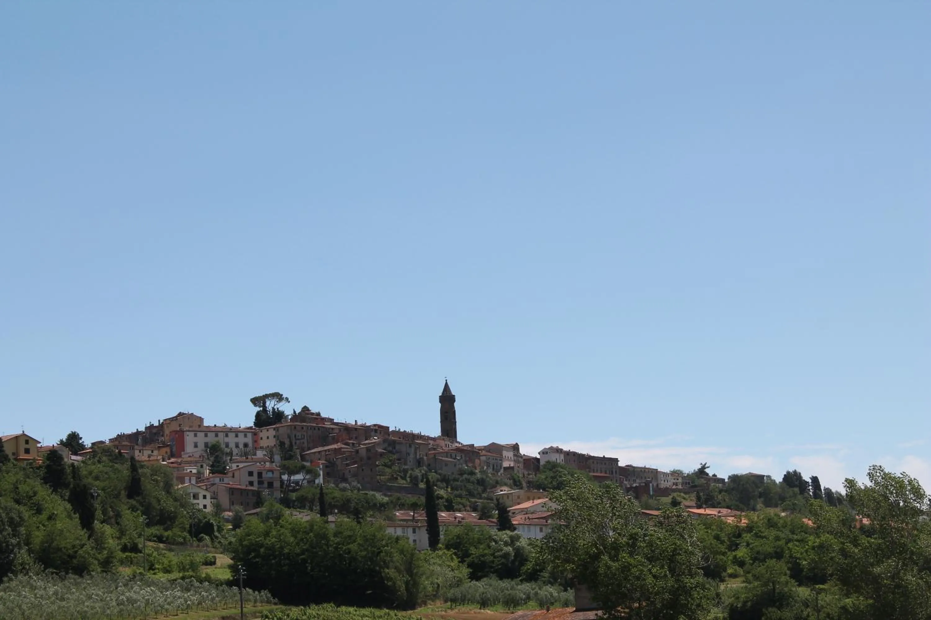 Area and facilities in Hotel Portavaldera