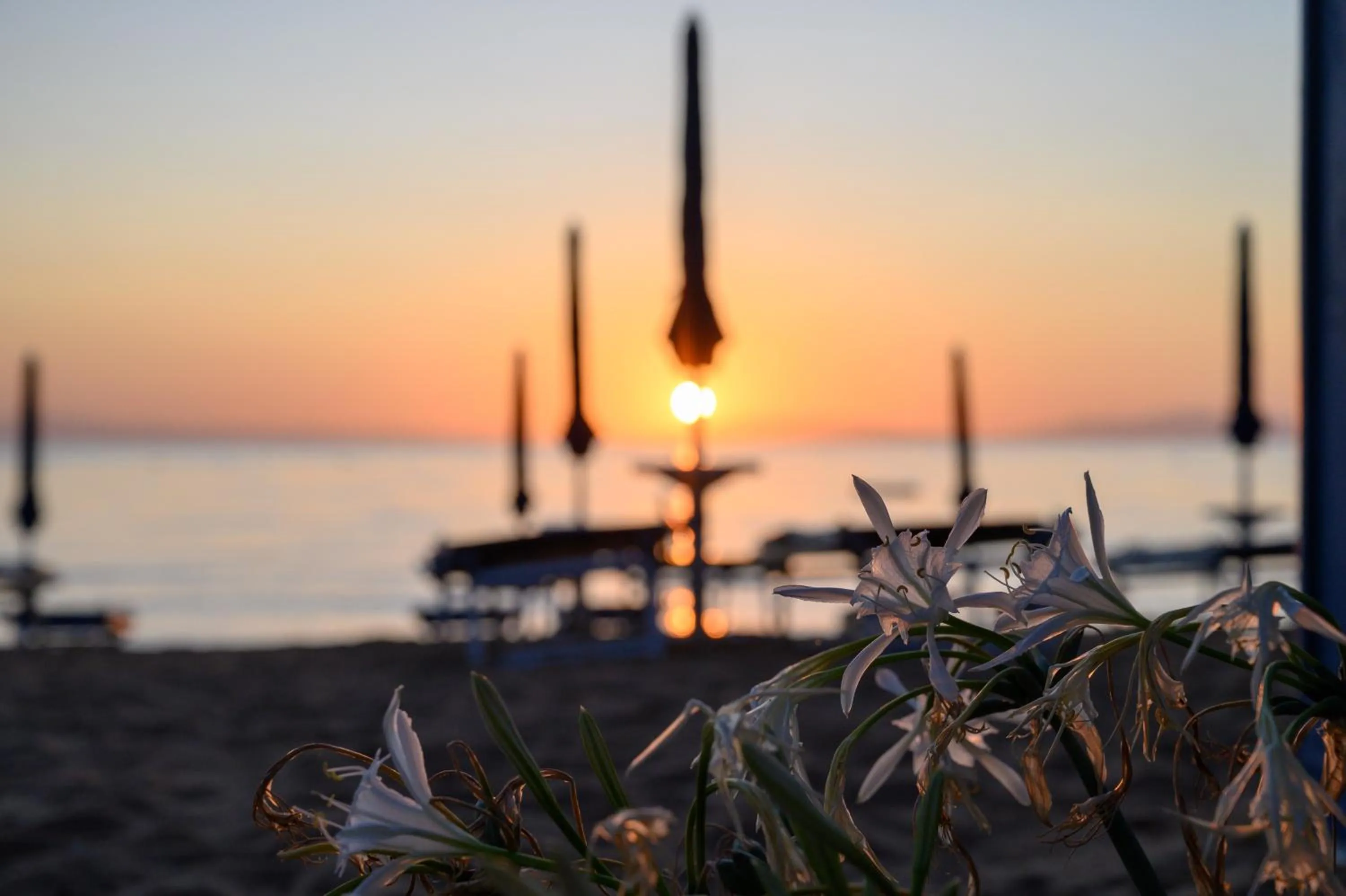 Beach in Hotel Le Acacie