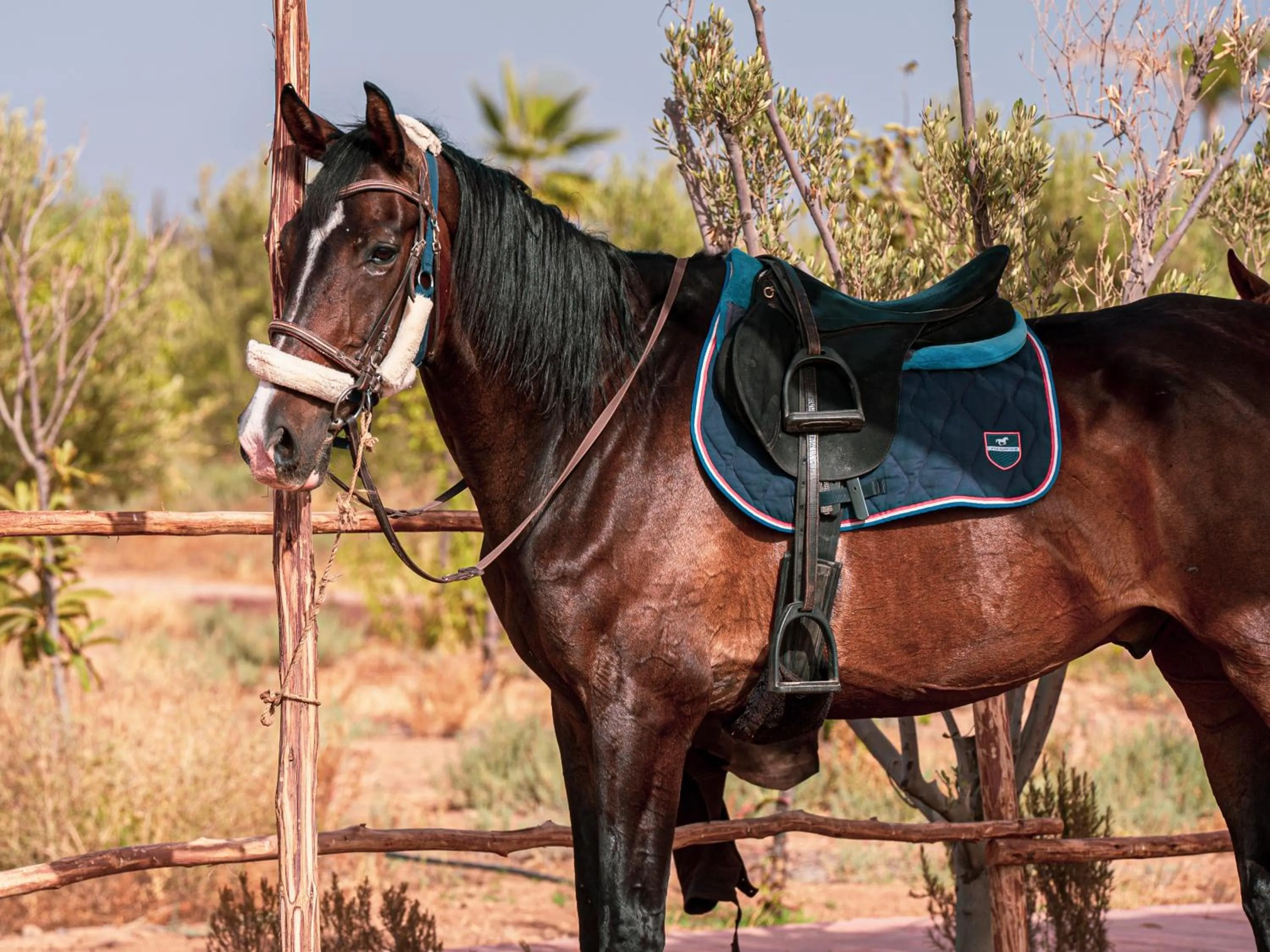 SUMAHAN SUITES & SPA