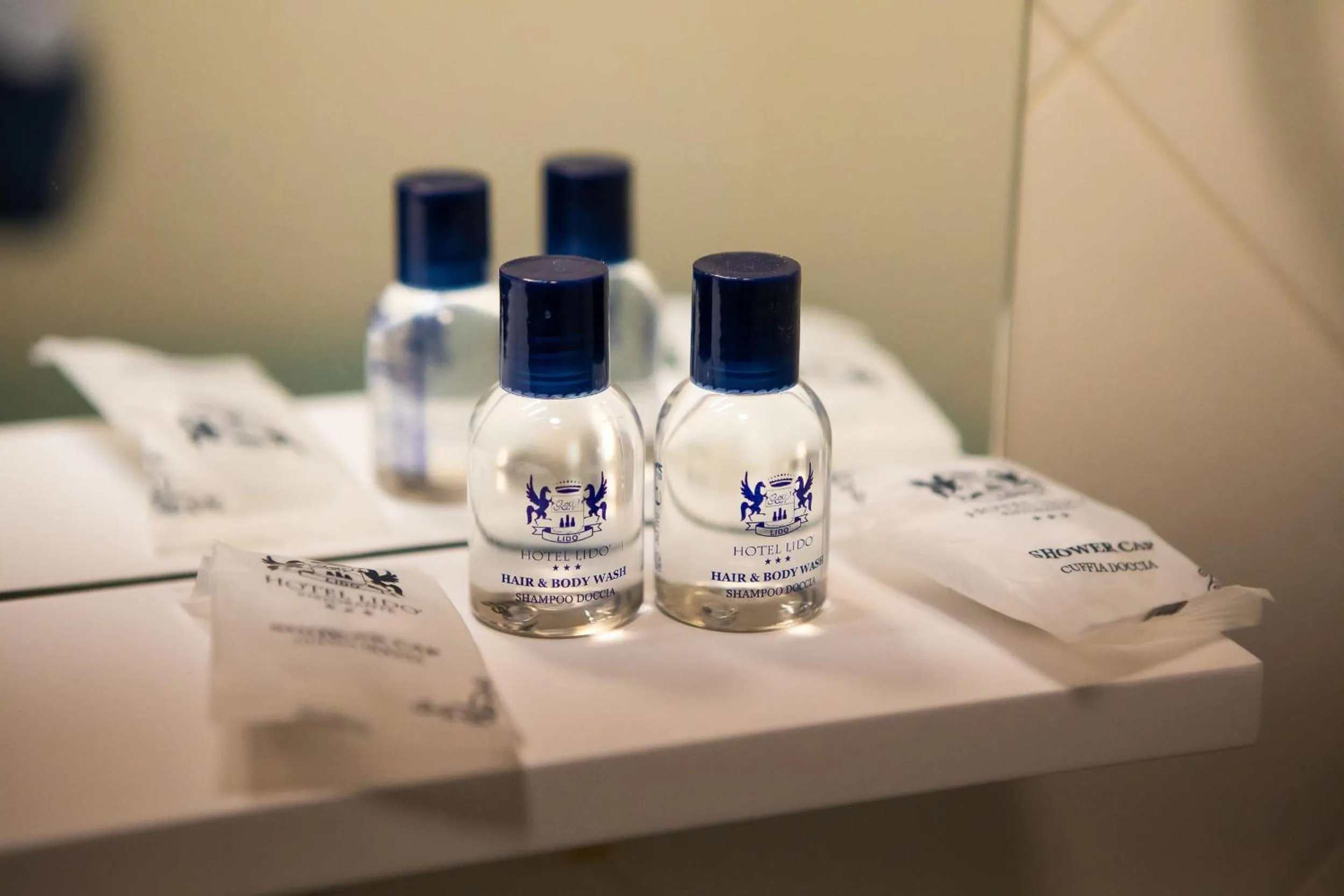 Property logo or sign in Hotel Lidò