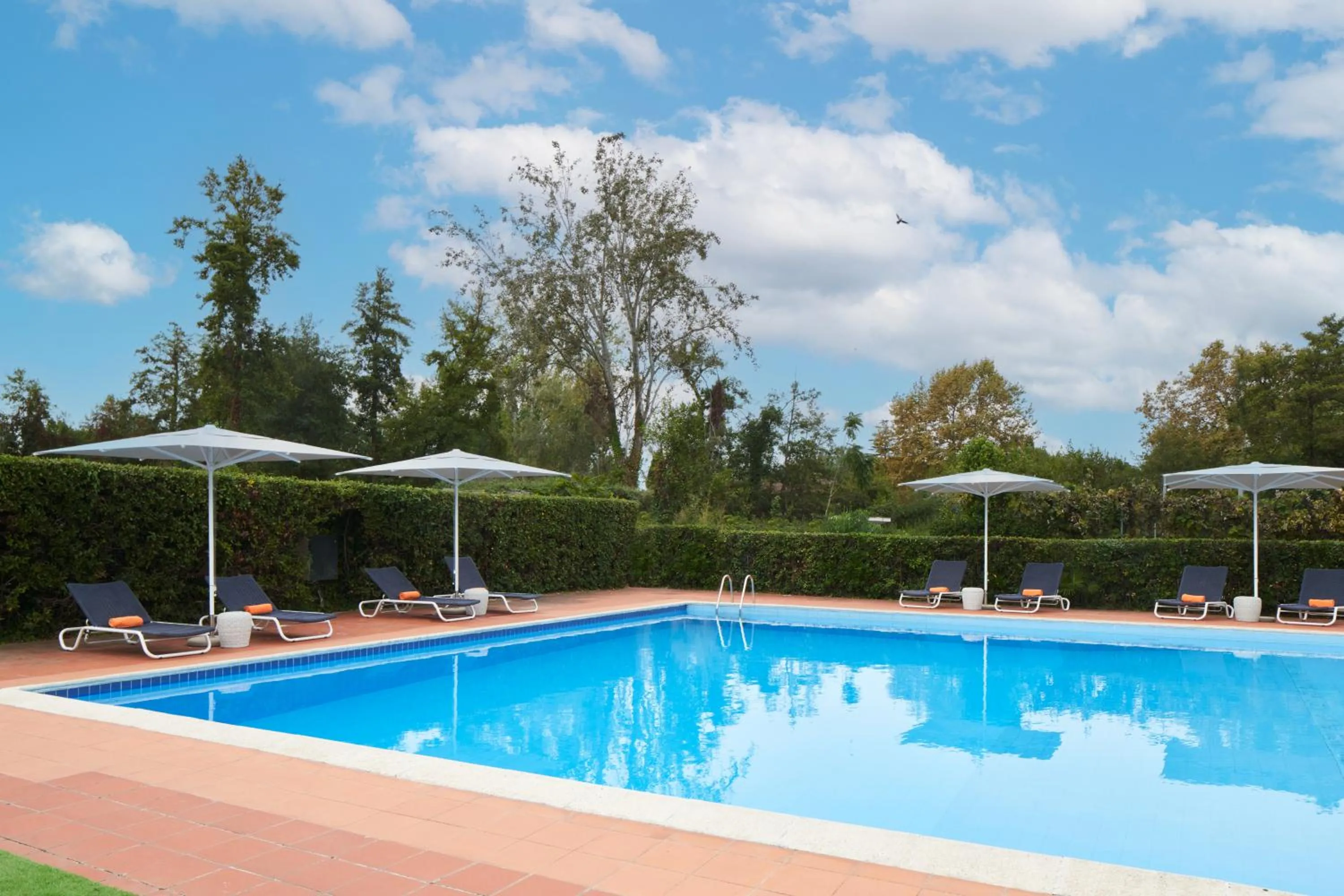 Swimming Pool in UNAWAY Hotel Forte Dei Marmi
