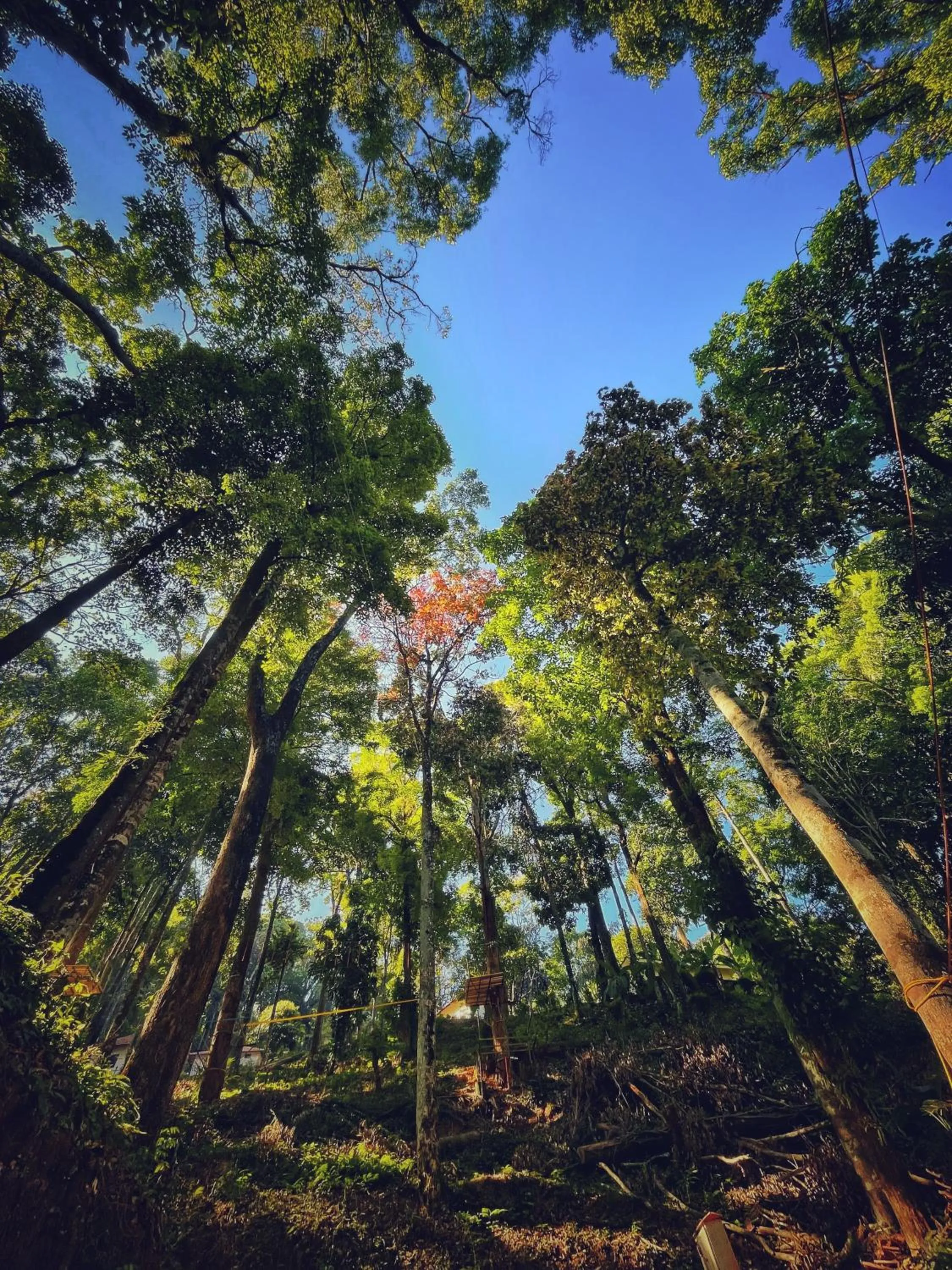 View (from property/room) in Qexperiences Coorg