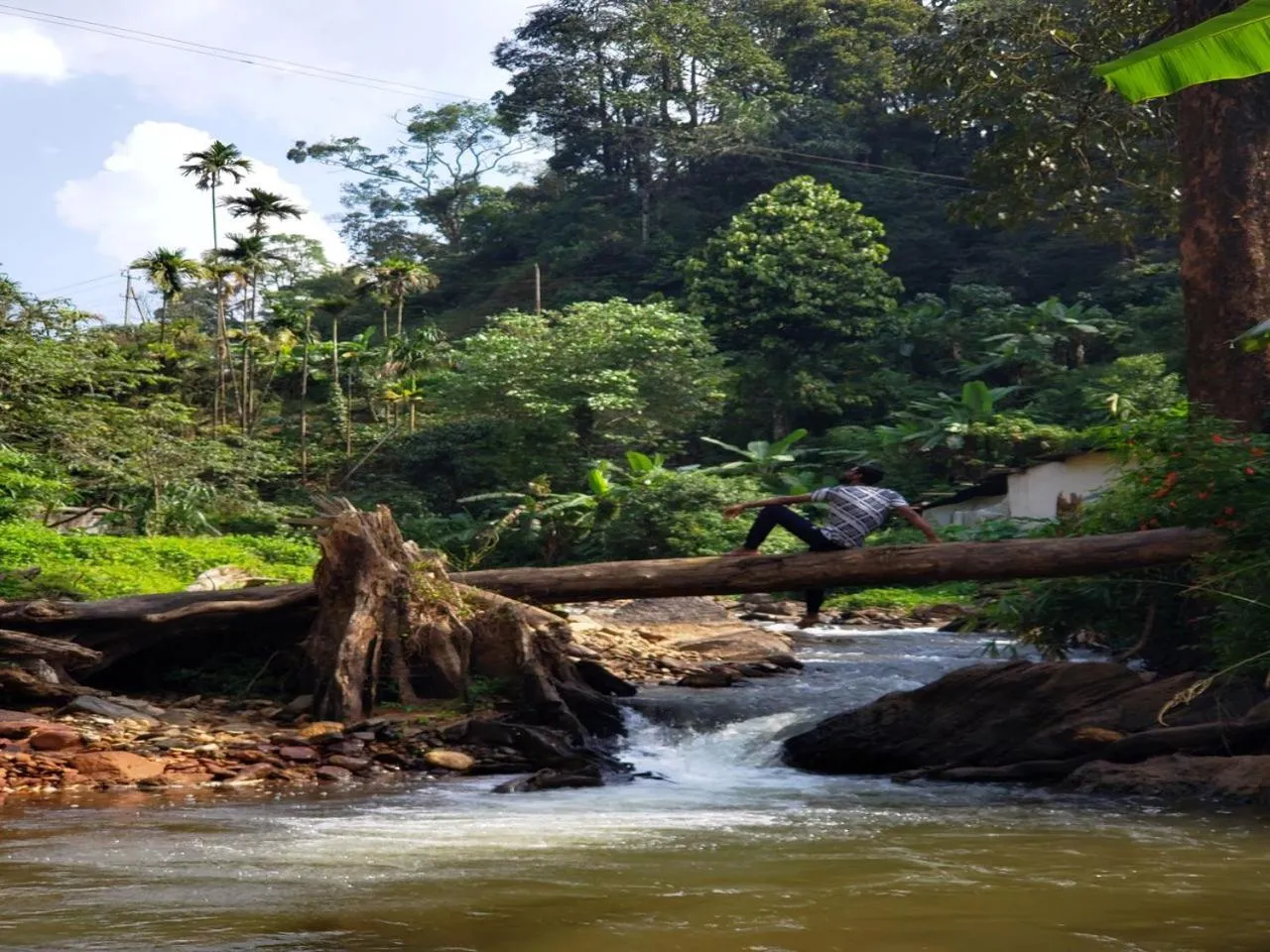 Natural landscape in Qexperiences Coorg