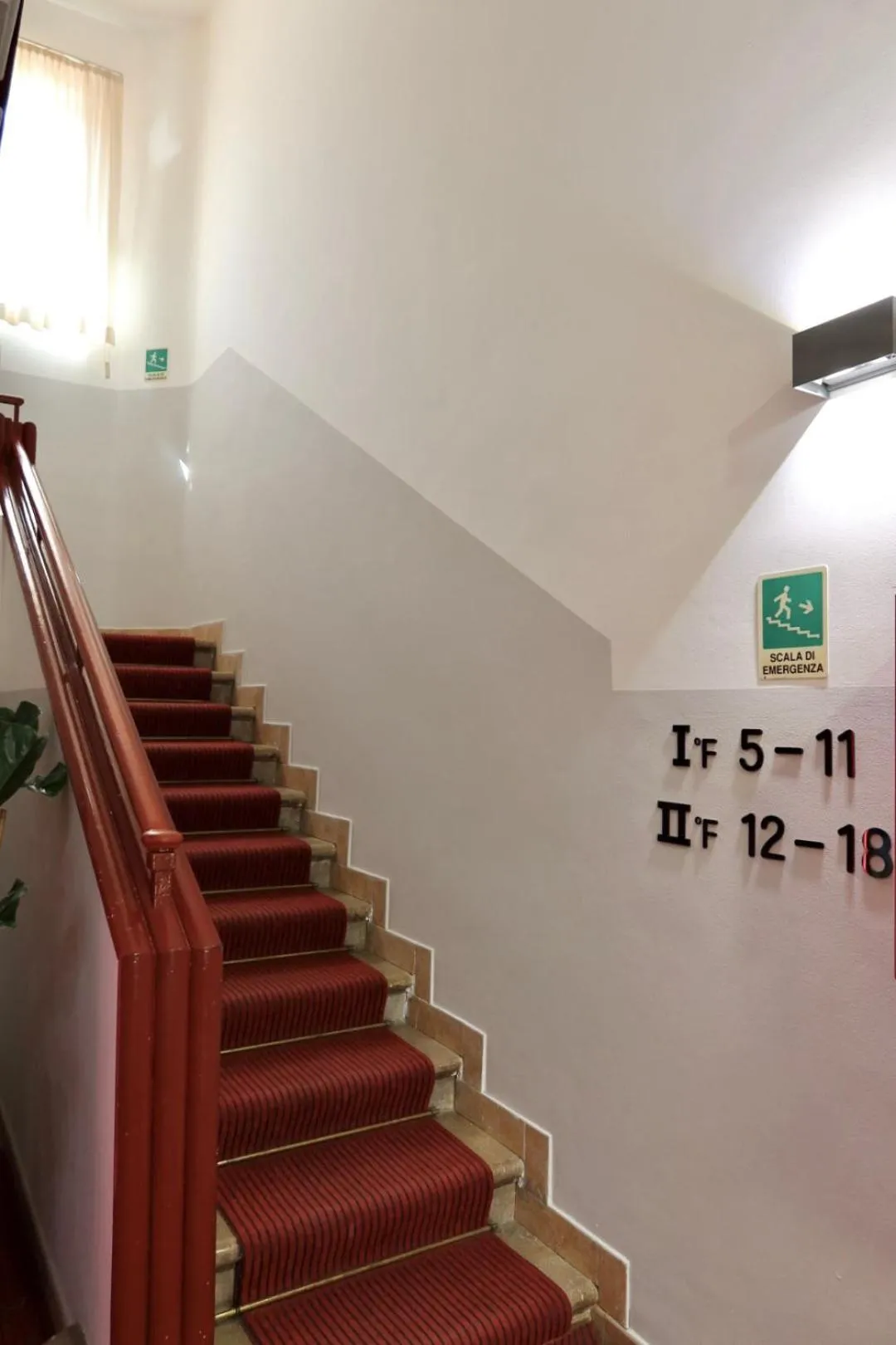 Area and facilities in Hotel Sara