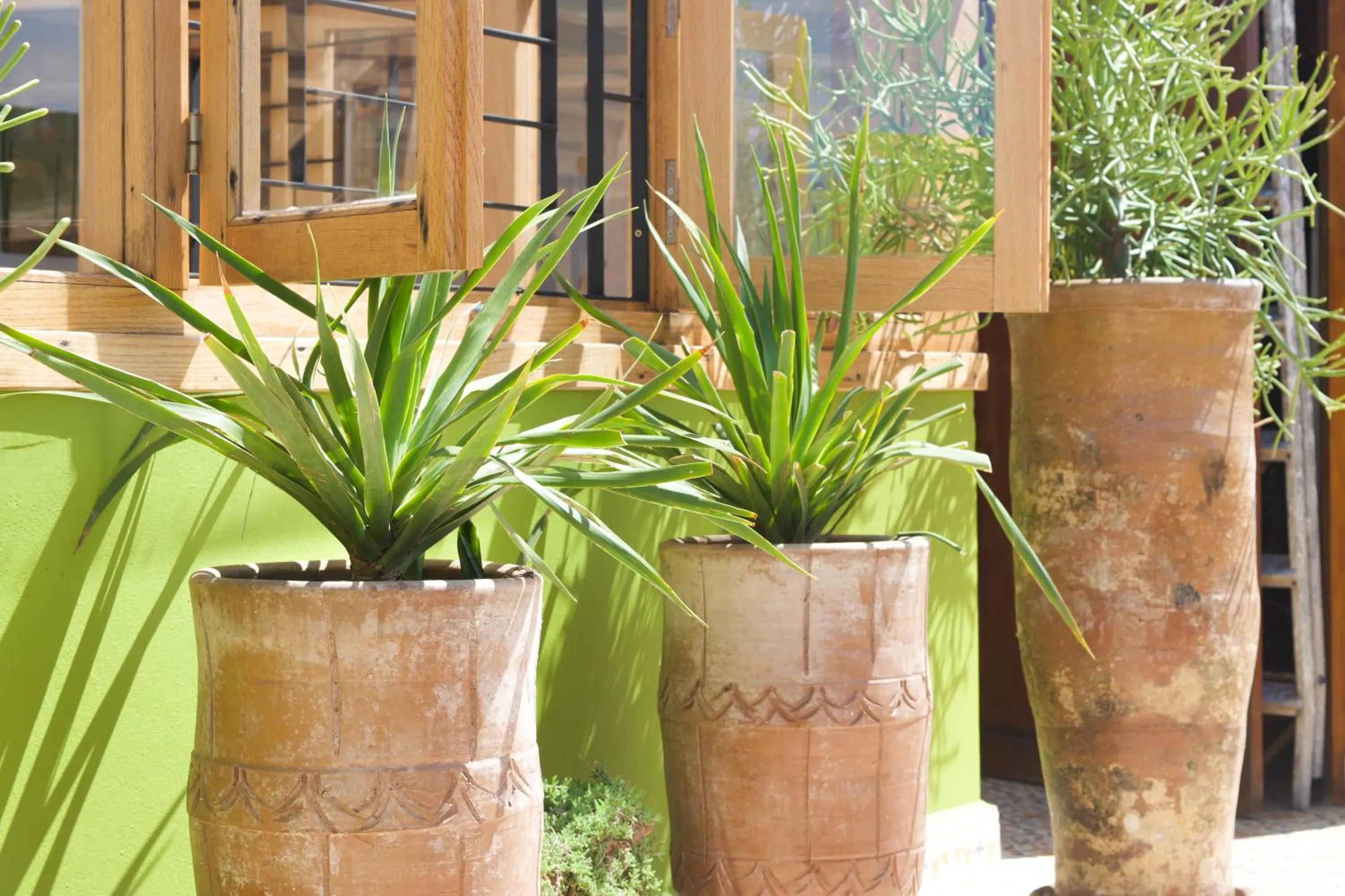 Restaurant/places to eat in Riad Le Khan Mogador