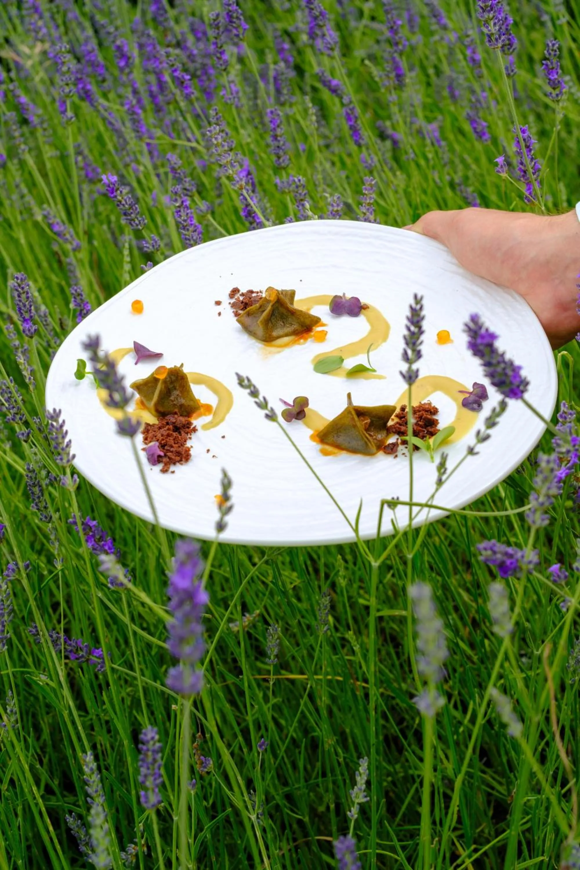 Food and drinks in Borgo Vescine