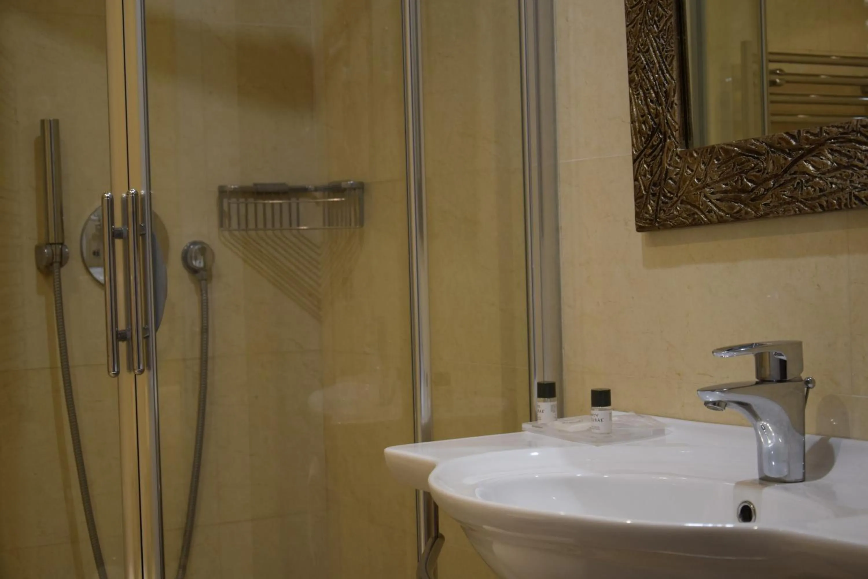 Shower in Hotel Perusia