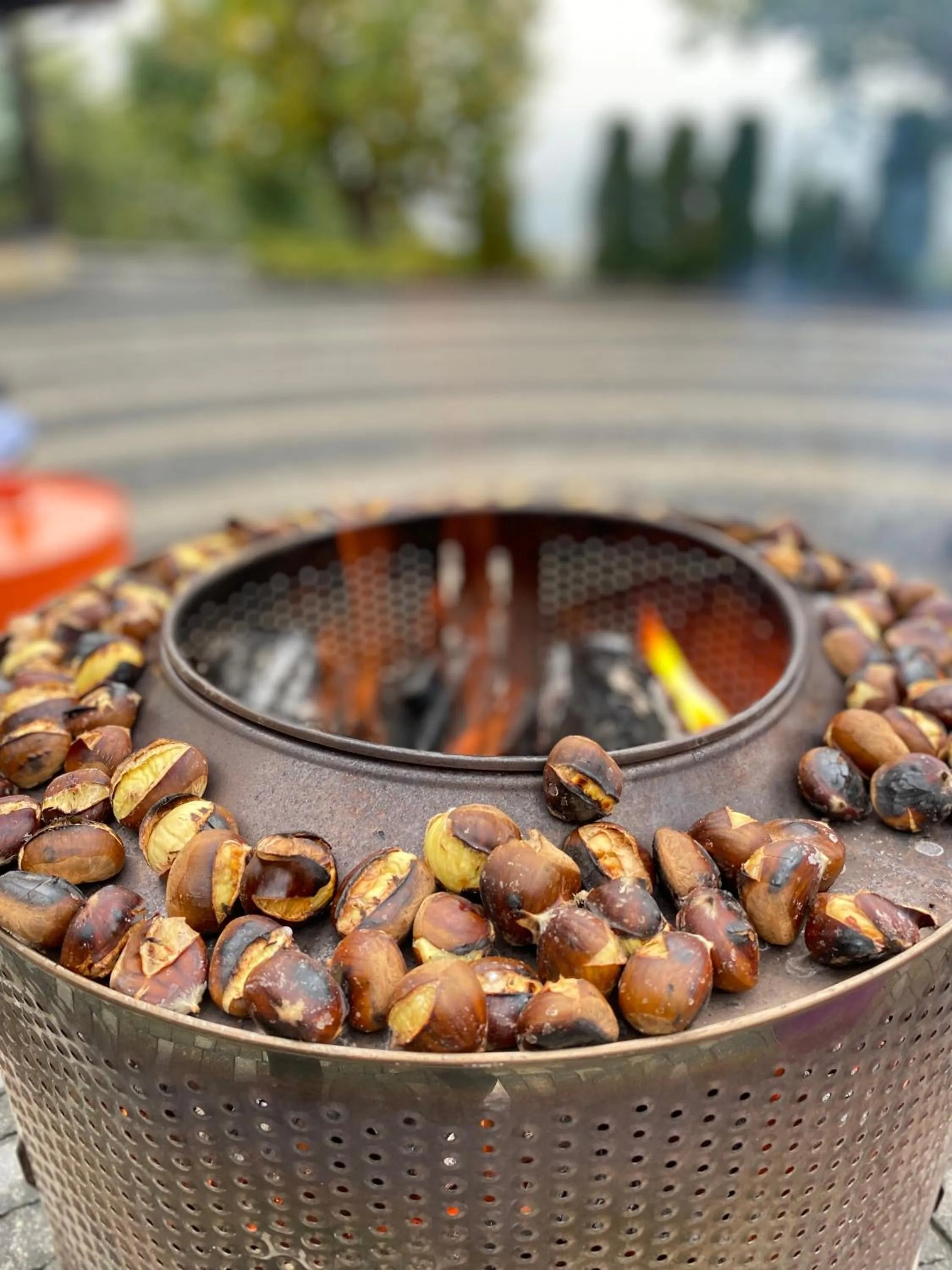 Activities in Kartepe Panorama
