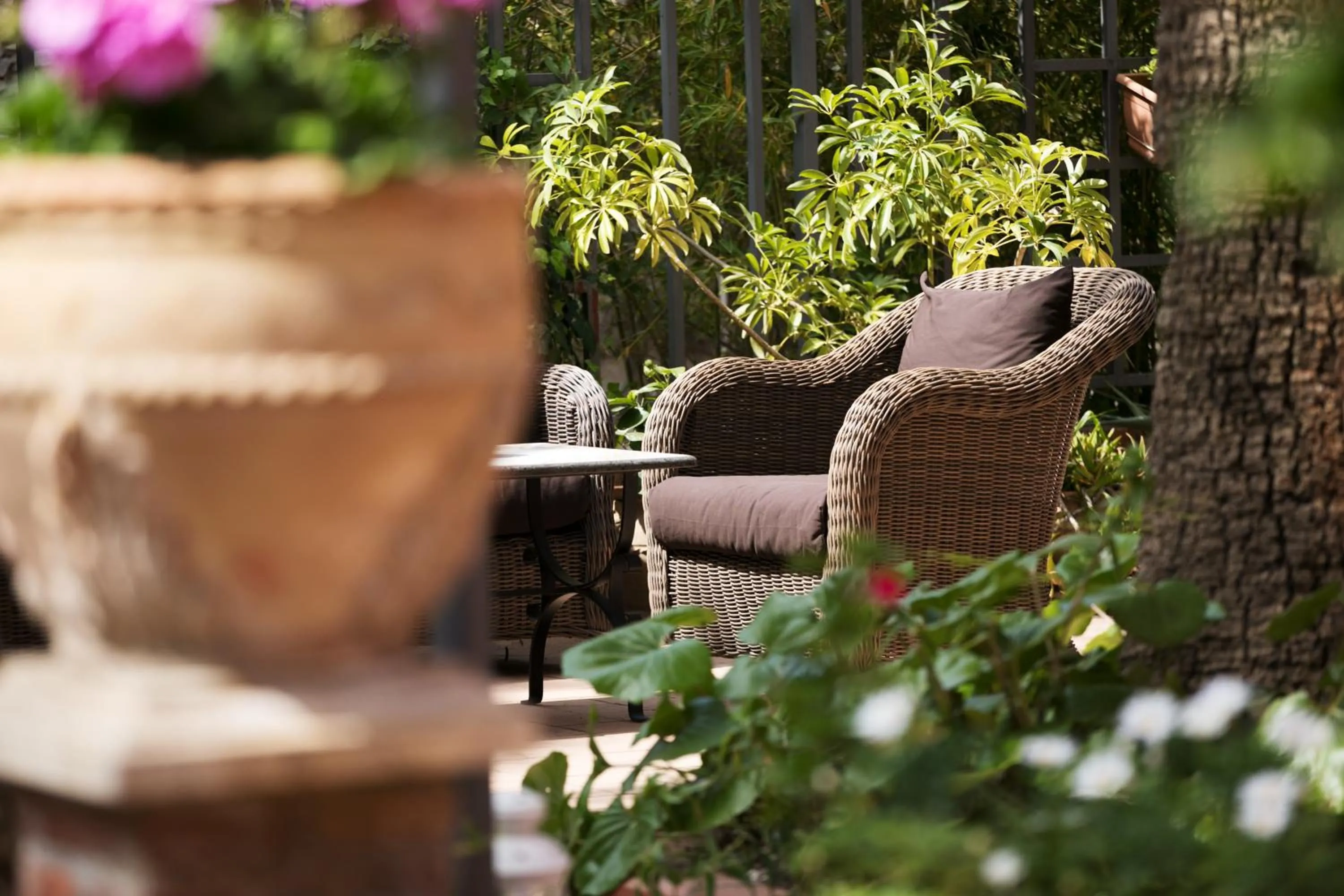 Hotel "La Pensione Svizzera"