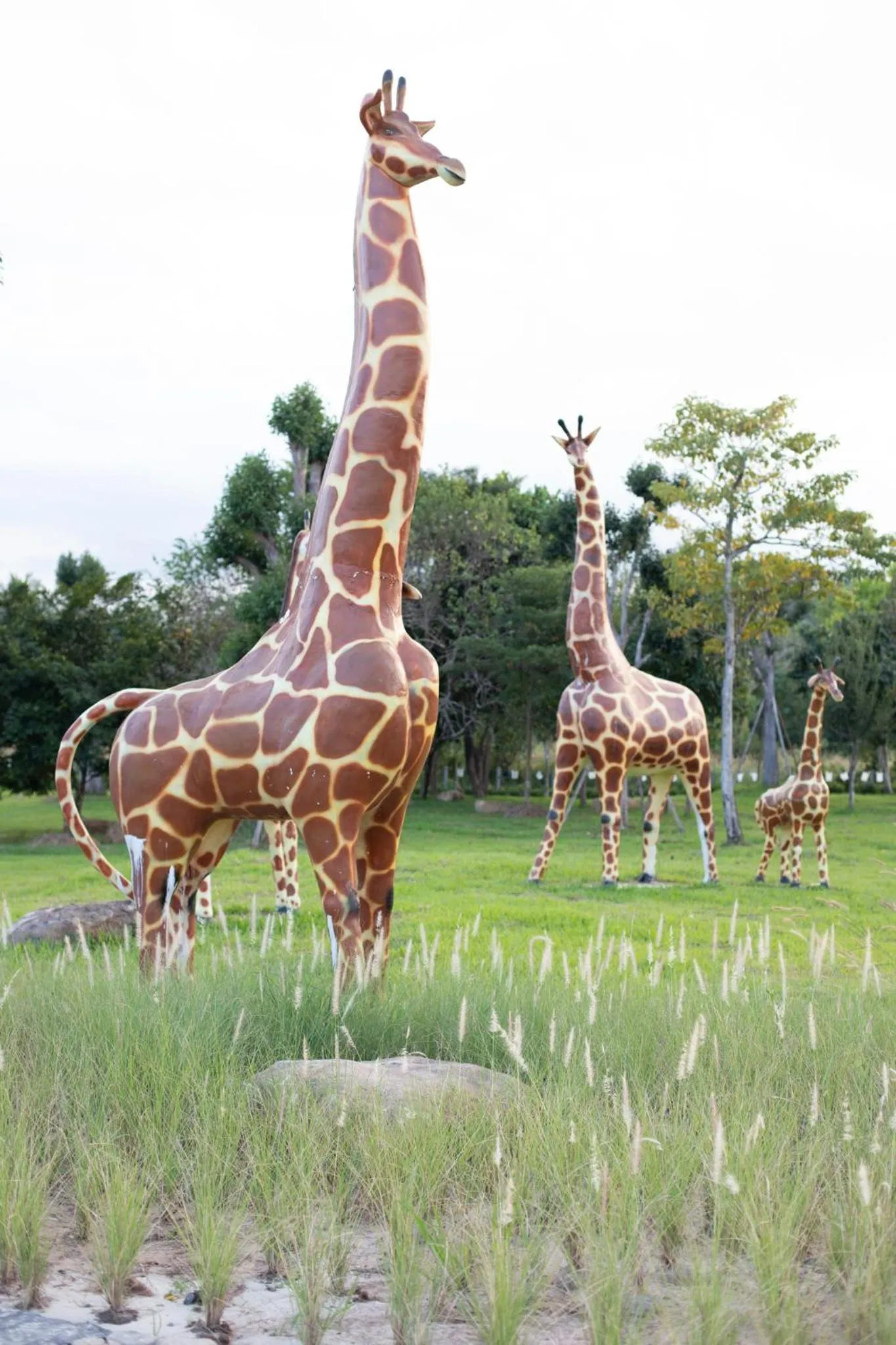 Children play ground in The Chamuang Forest
