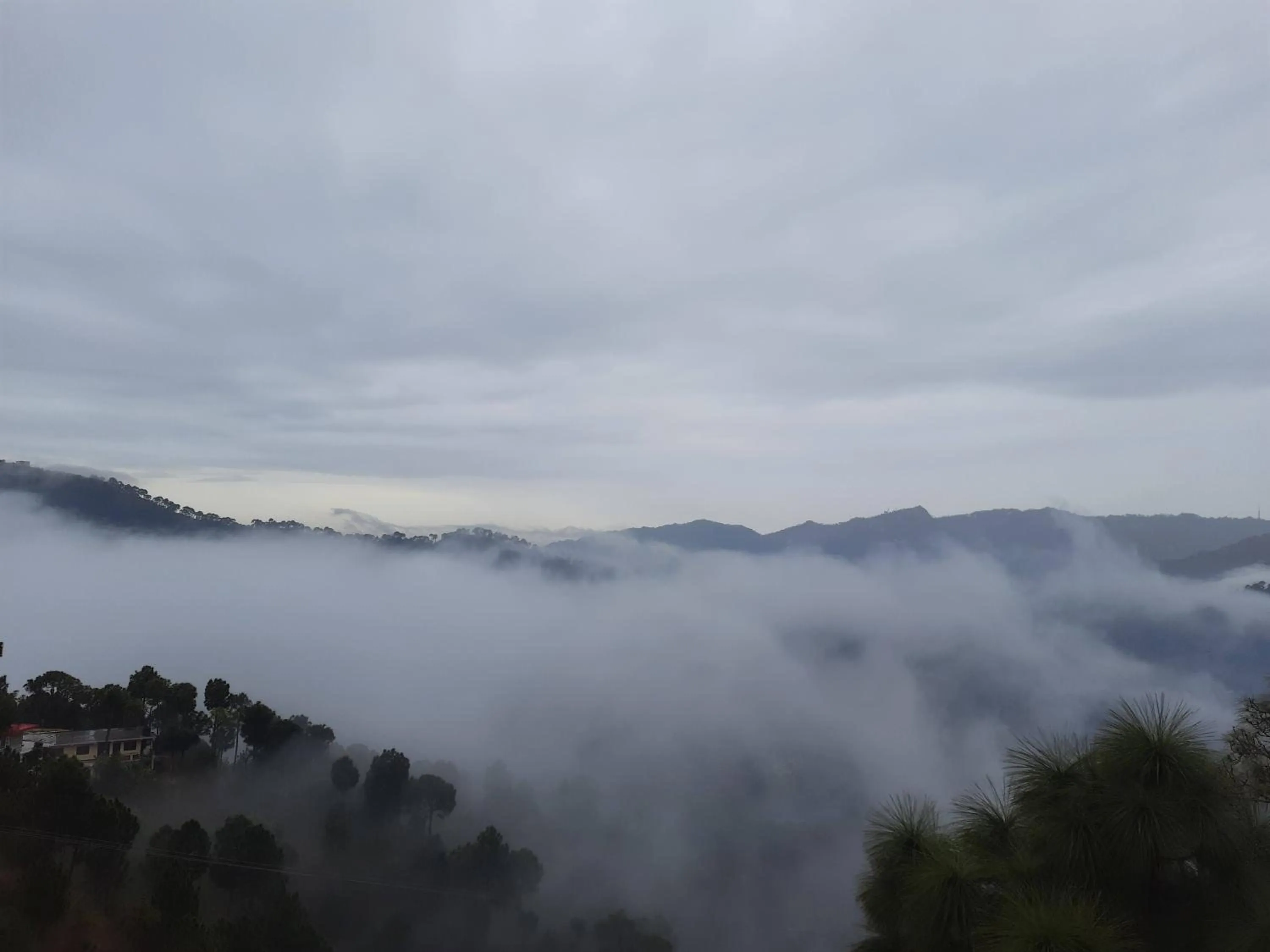 Natural landscape in Hotel Le Halcyon Kasauli