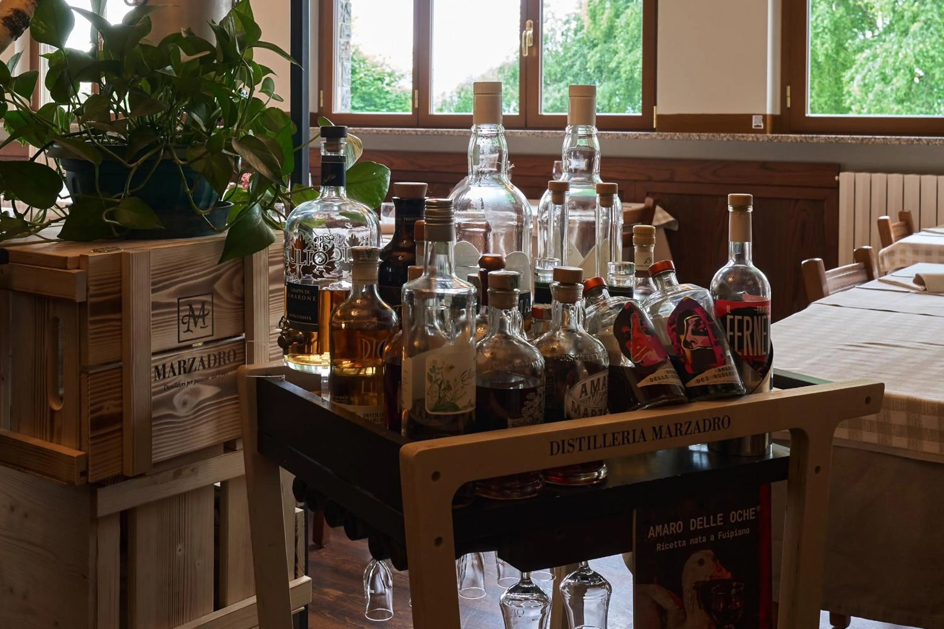 Food and drinks in Albergo Moderno & Spa