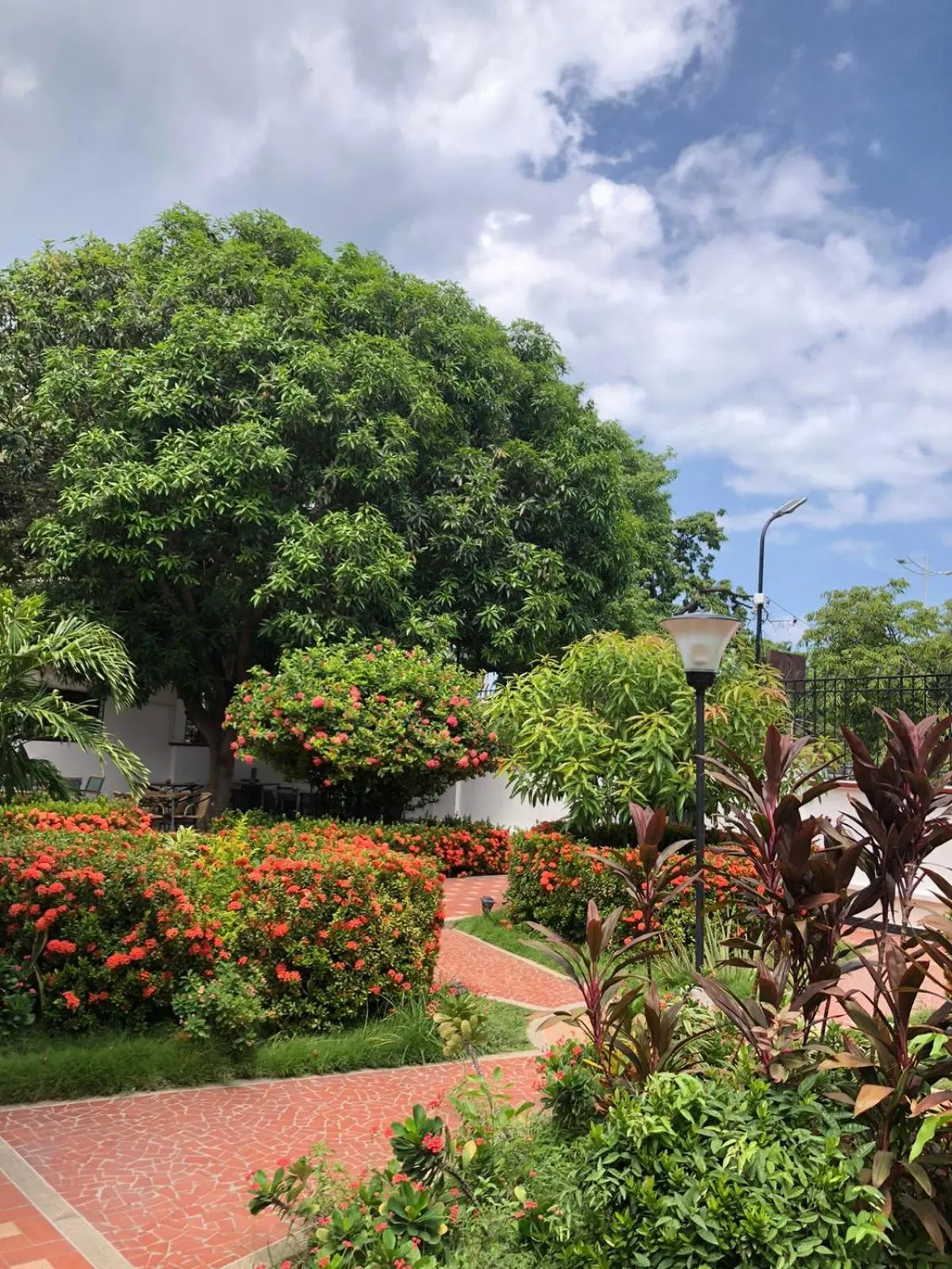 Garden view in Hotel Casa Bethel