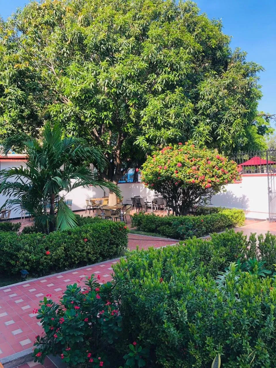 Garden in Hotel Casa Bethel