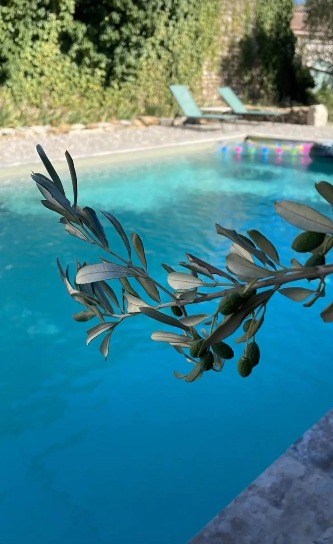 le Nomade en Provence