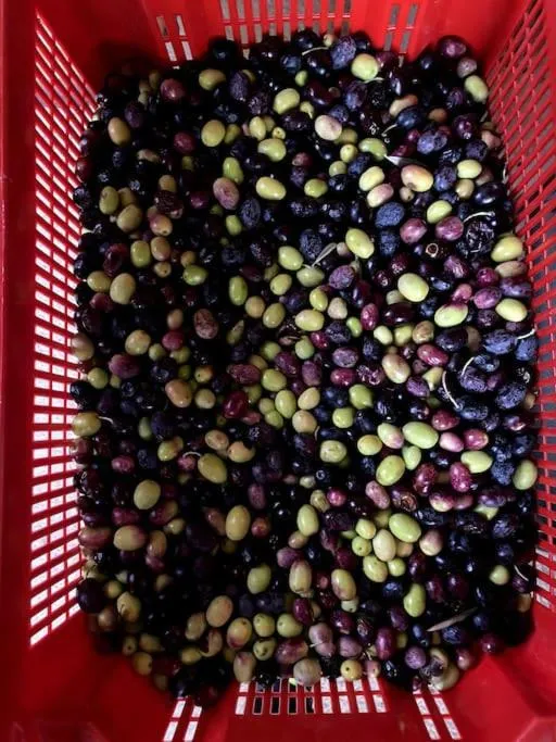 le Nomade en Provence