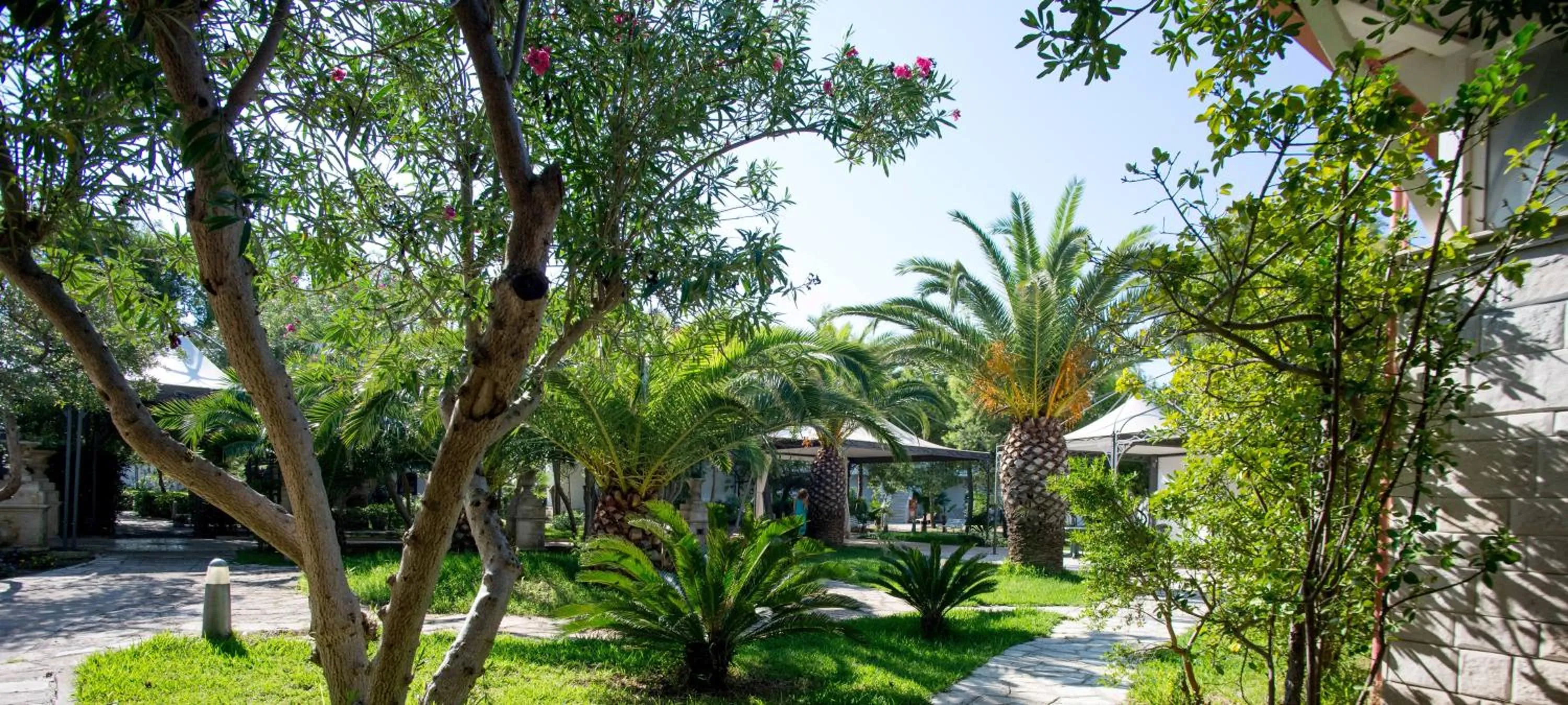 Garden in Hotel Lo Scoglio