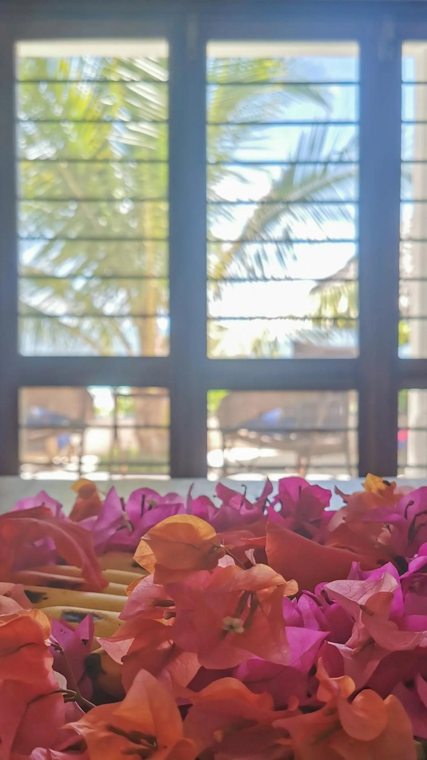 Property building in Villa Malaika