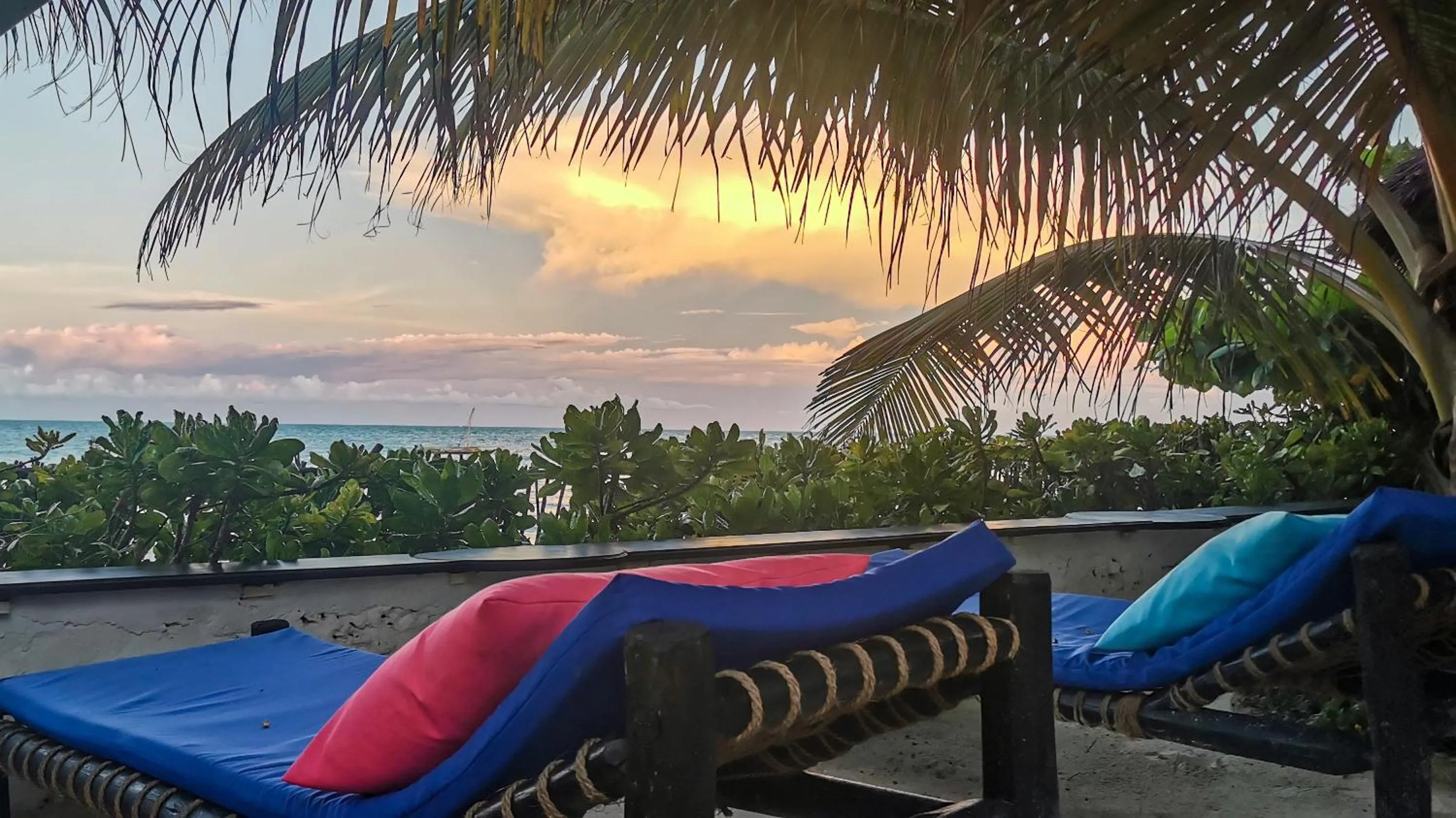 Garden in Villa Malaika