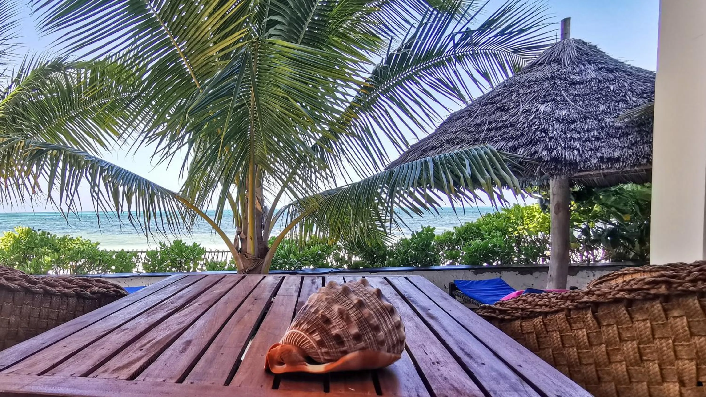 Balcony/Terrace in Villa Malaika