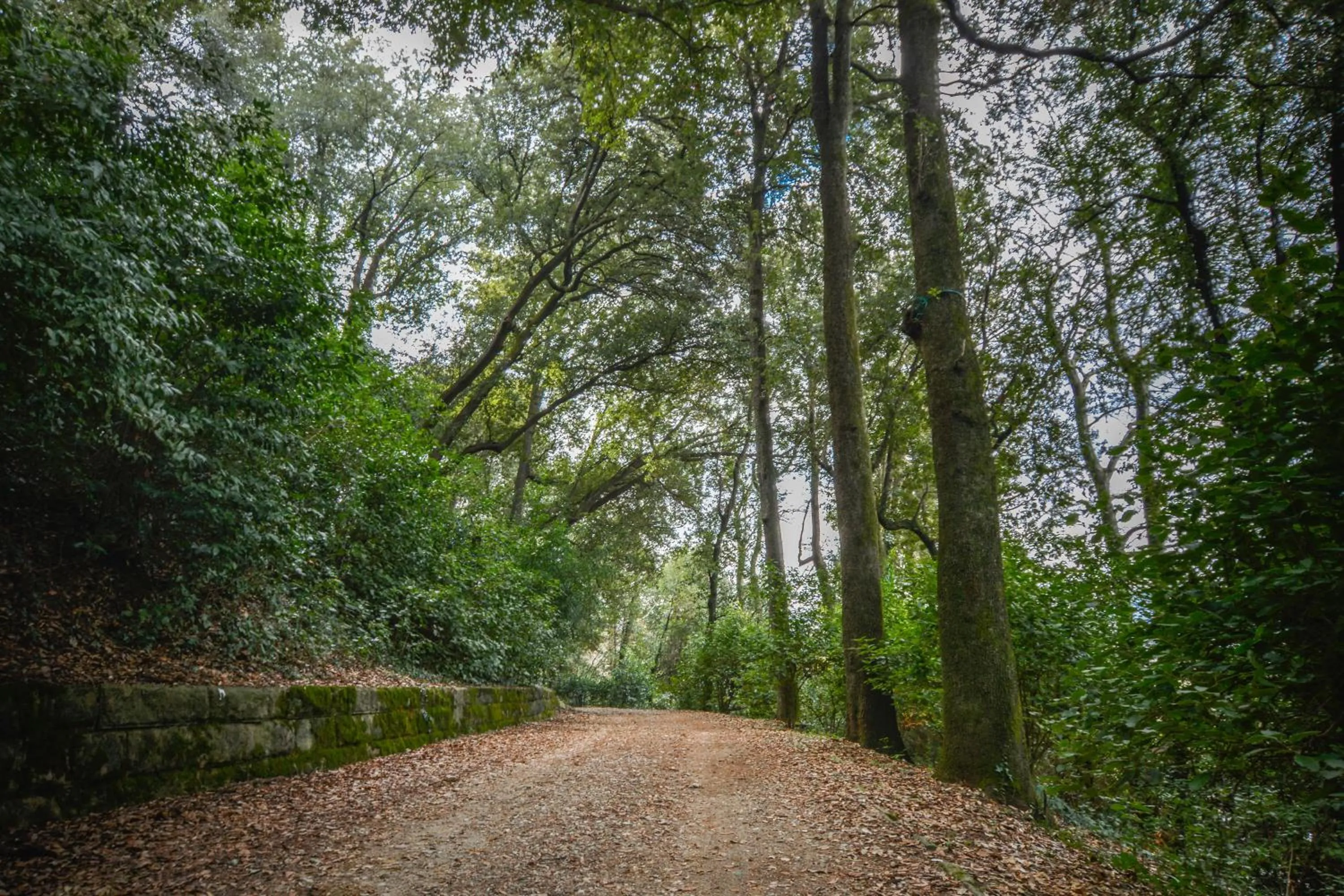 Il Borgo di Villa Castelletti Country Hotel
