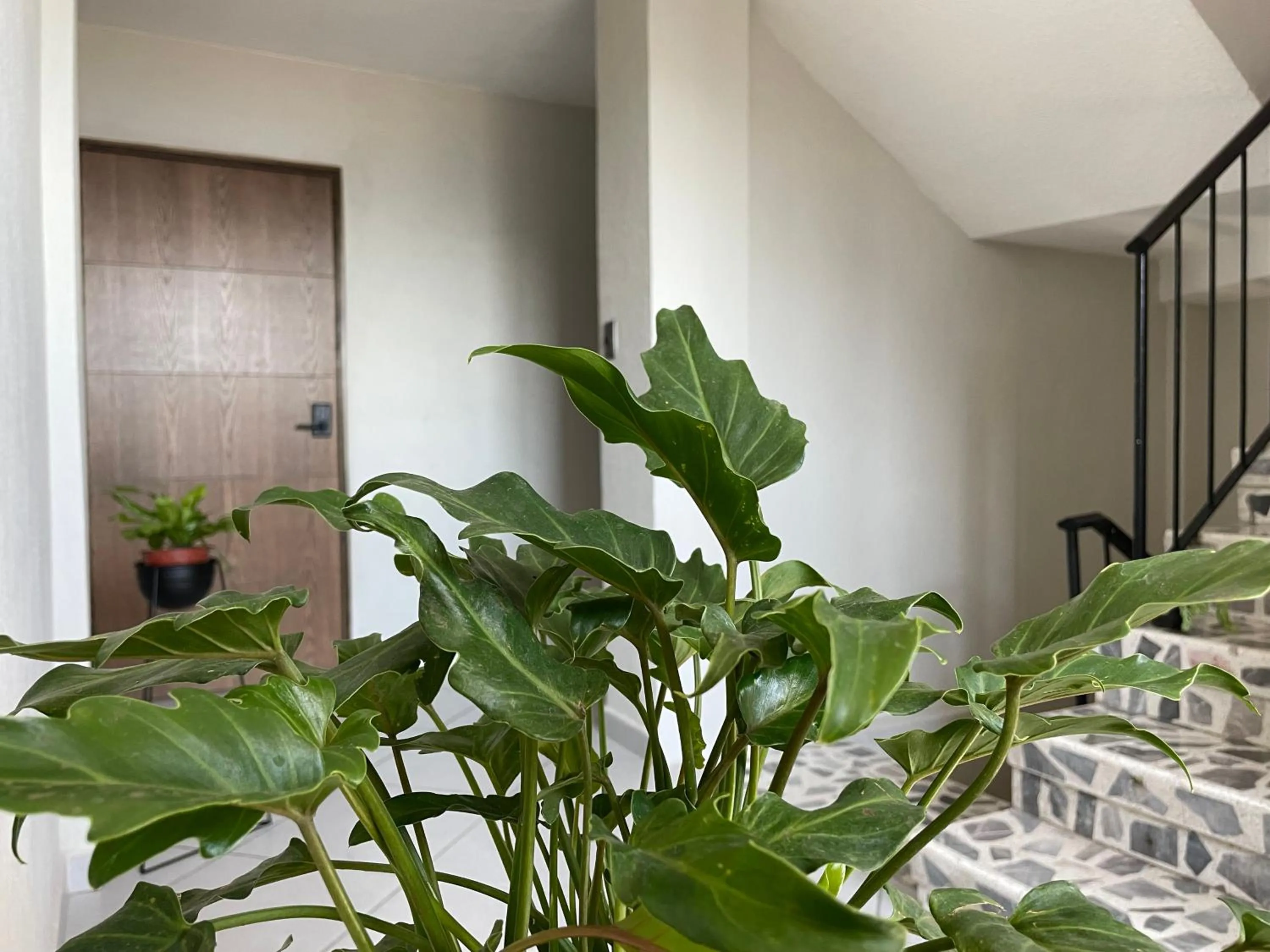 Area and facilities in Estacion Alameda Downtown