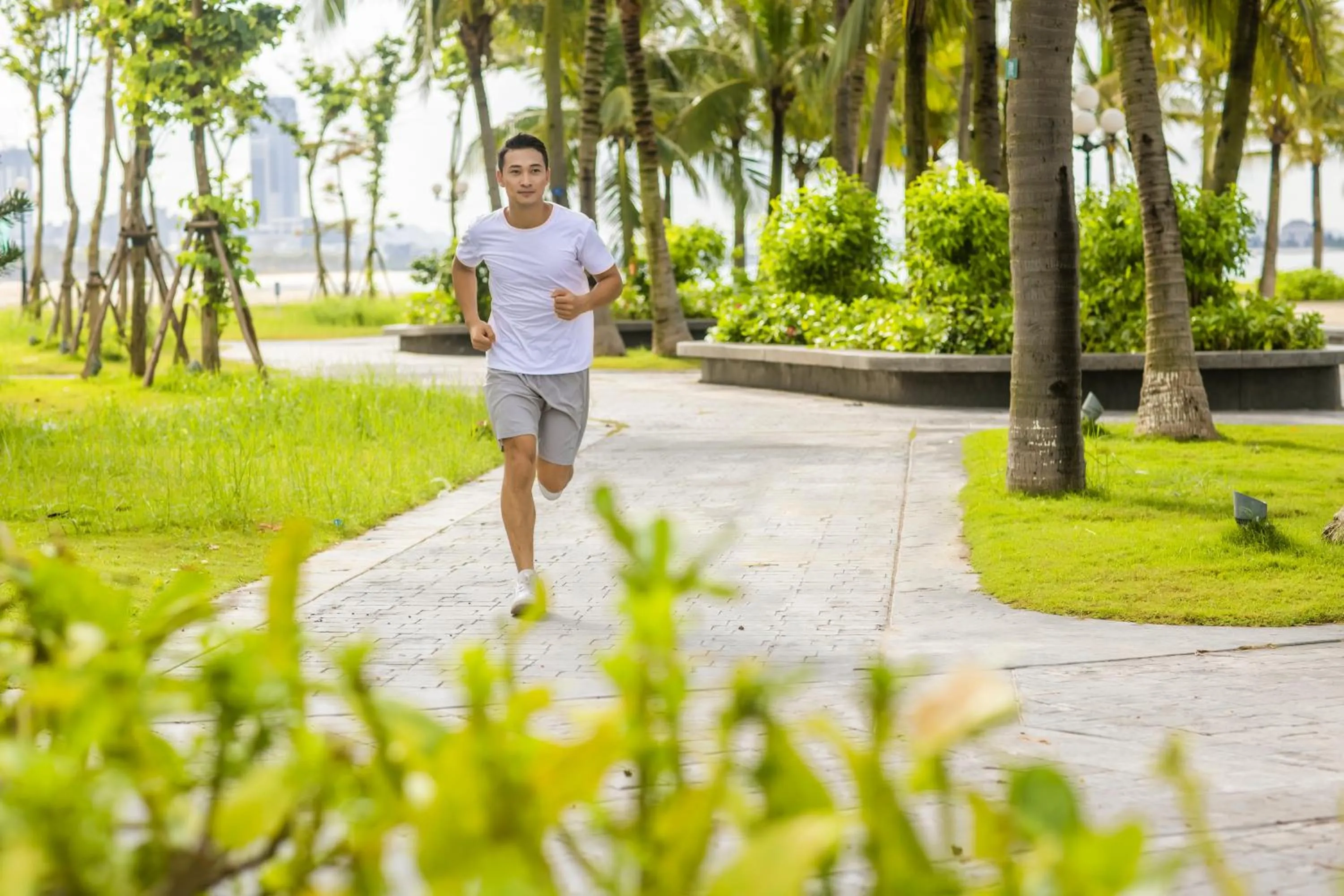 Natural landscape in Citadines Marina Halong