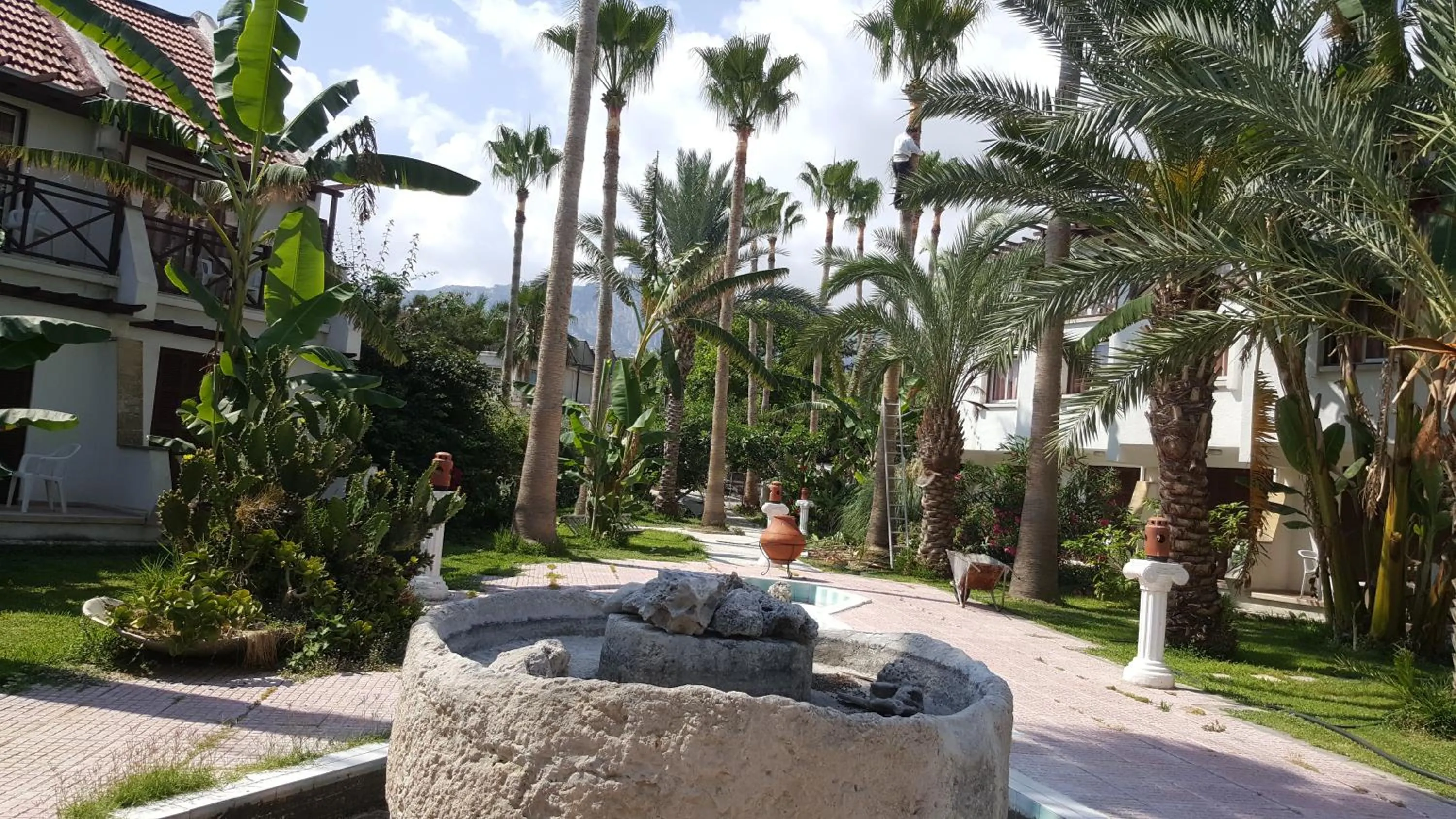 Patio in Topset Hotel