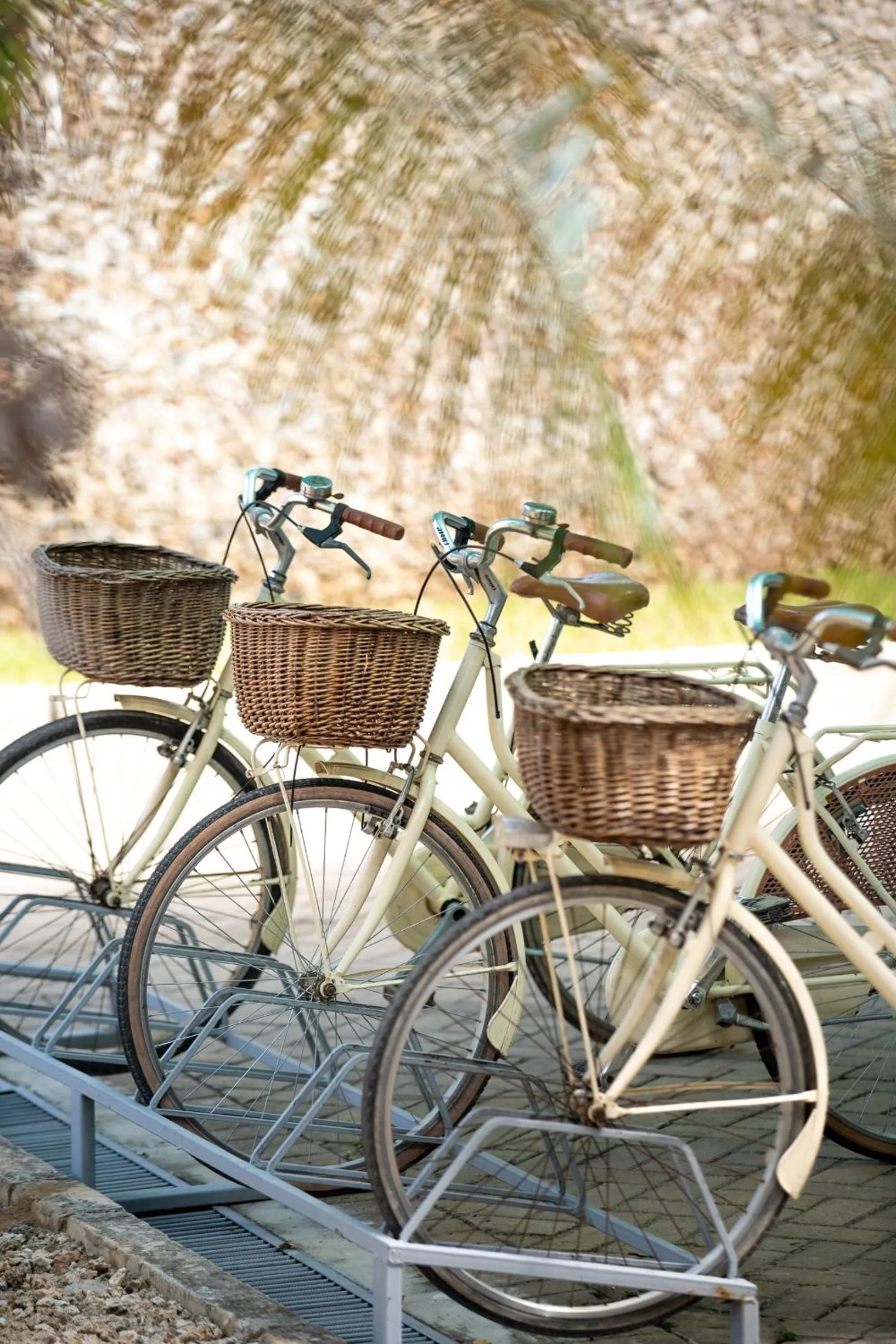 Cycling in Lion in the Sun Boutique Hotel & Spa