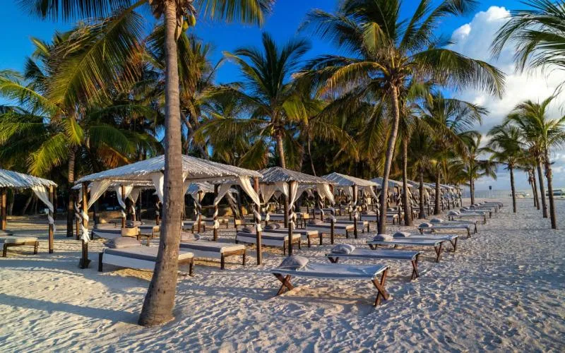 Beach in Lion in the Sun Boutique Hotel & Spa