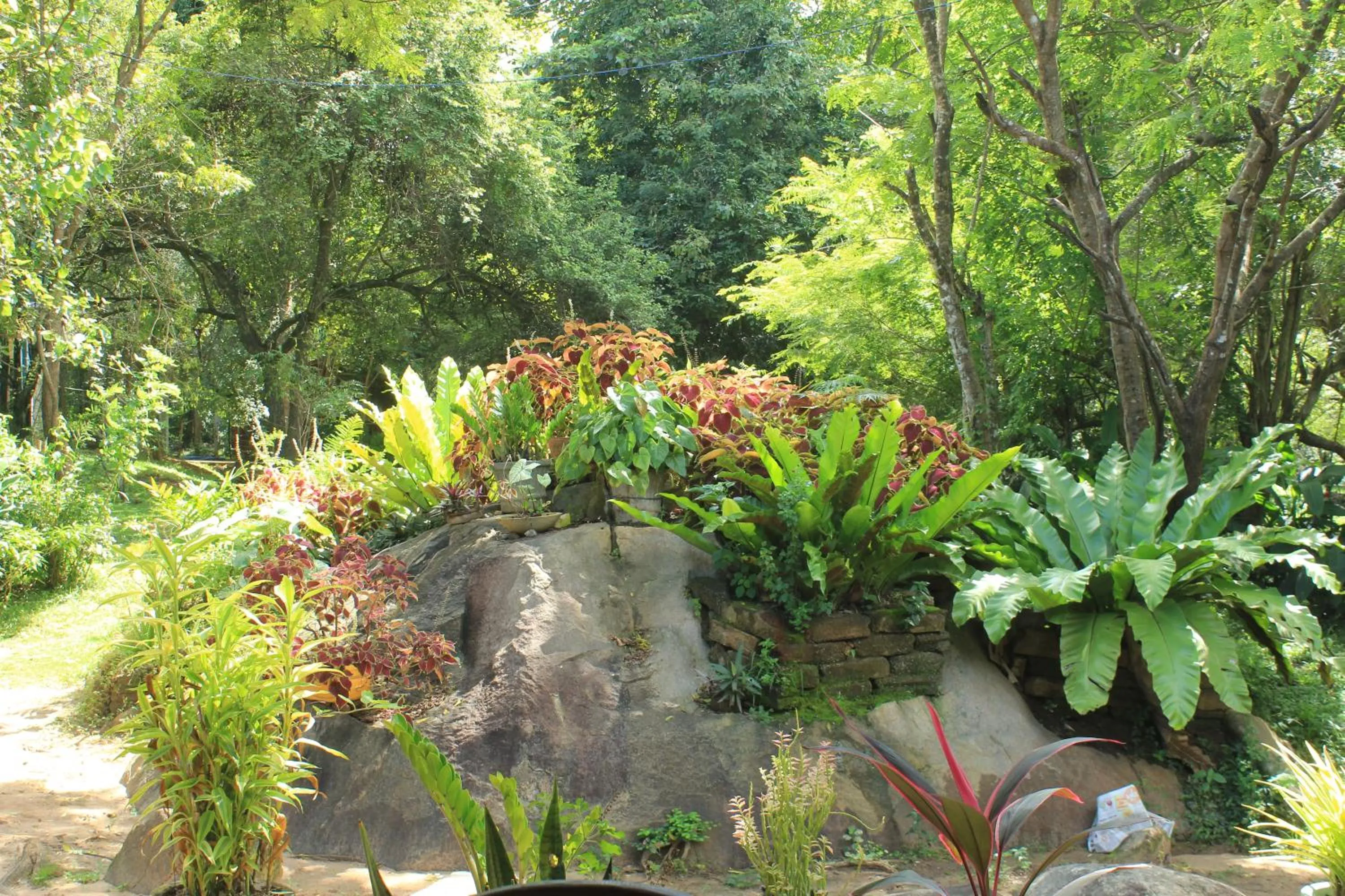 Sigiriya Melrose Villas