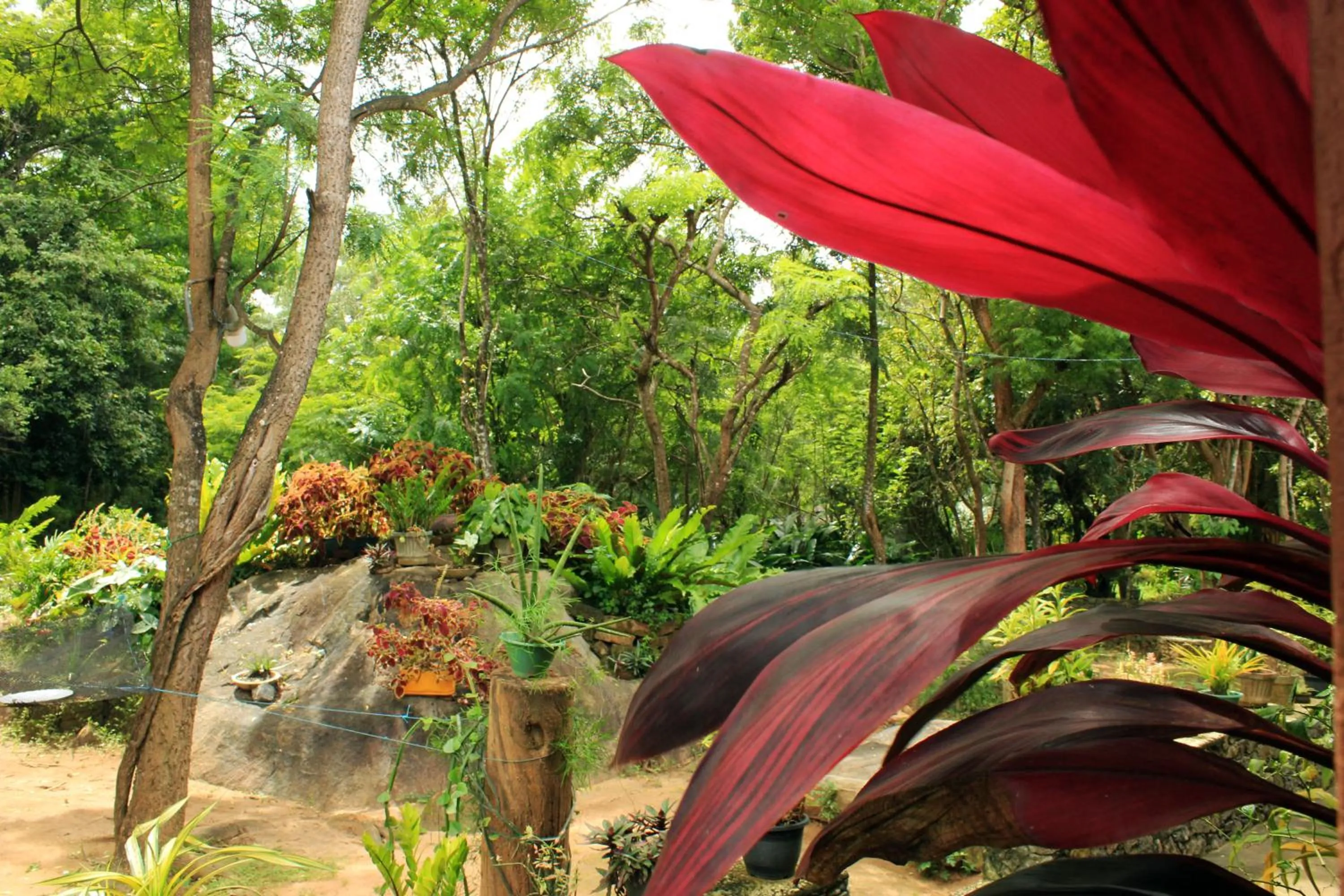 Sigiriya Melrose Villas