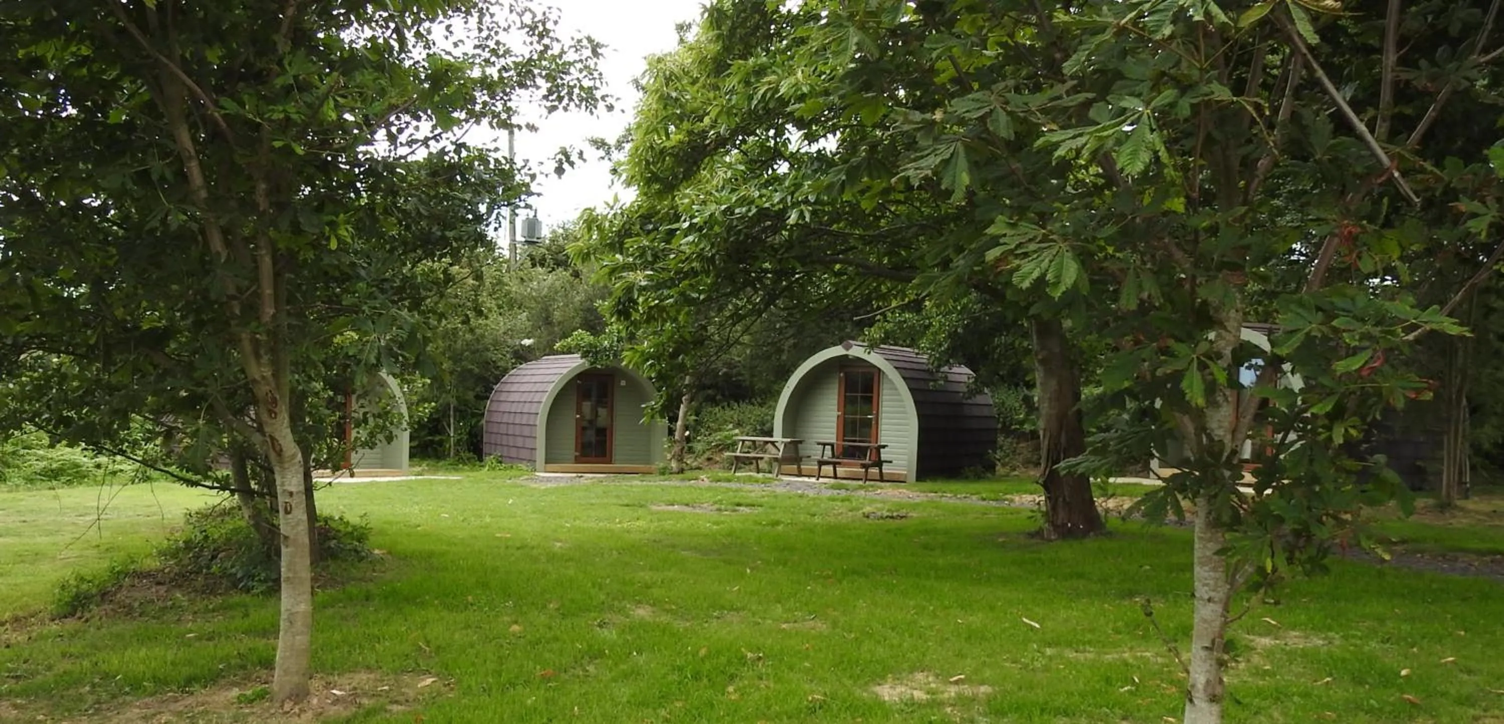 Natural landscape in Chestnut Meadow Country Park