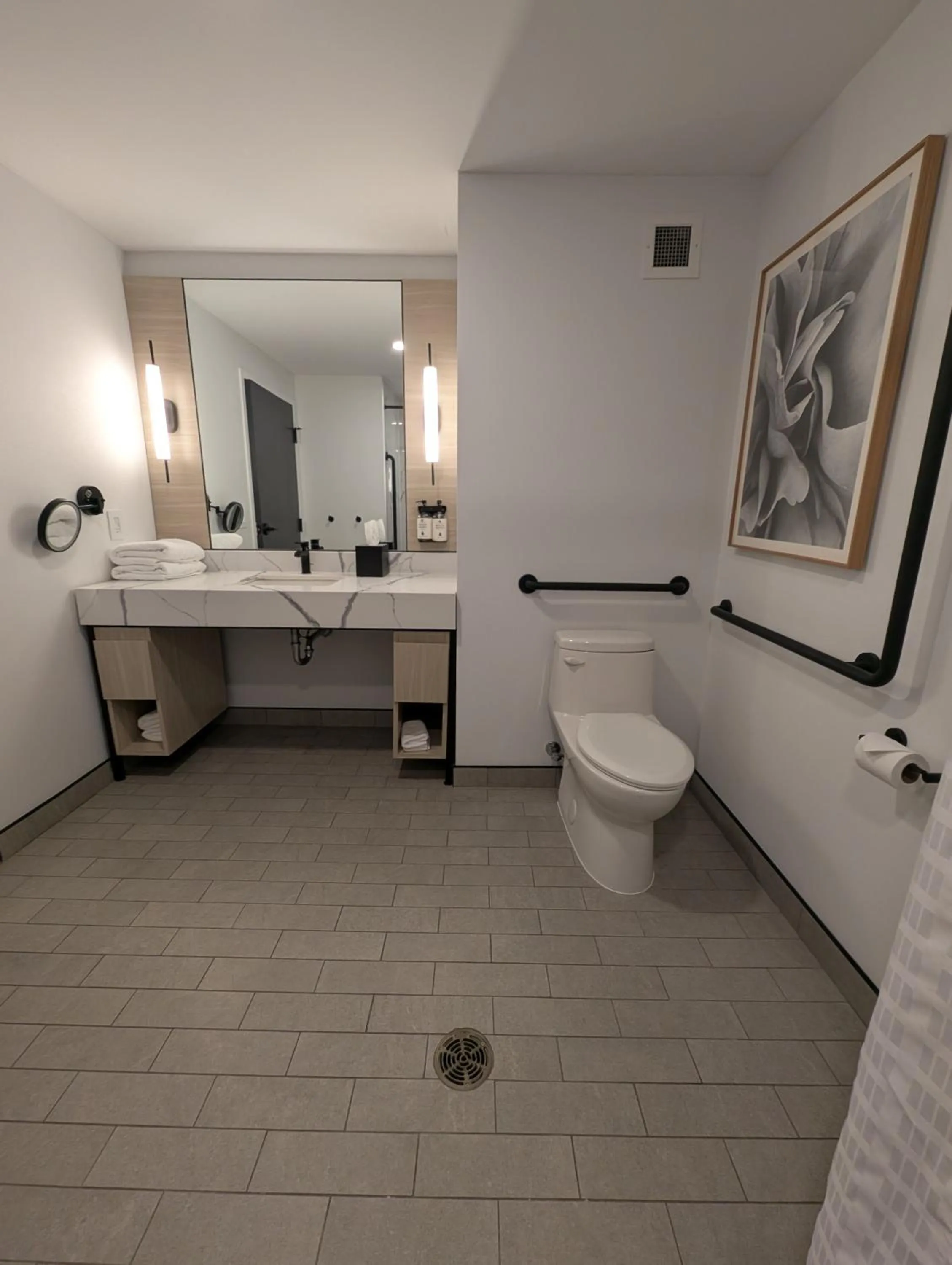 Toilet in Bloom Mississauga, Tapestry Collection By Hilton