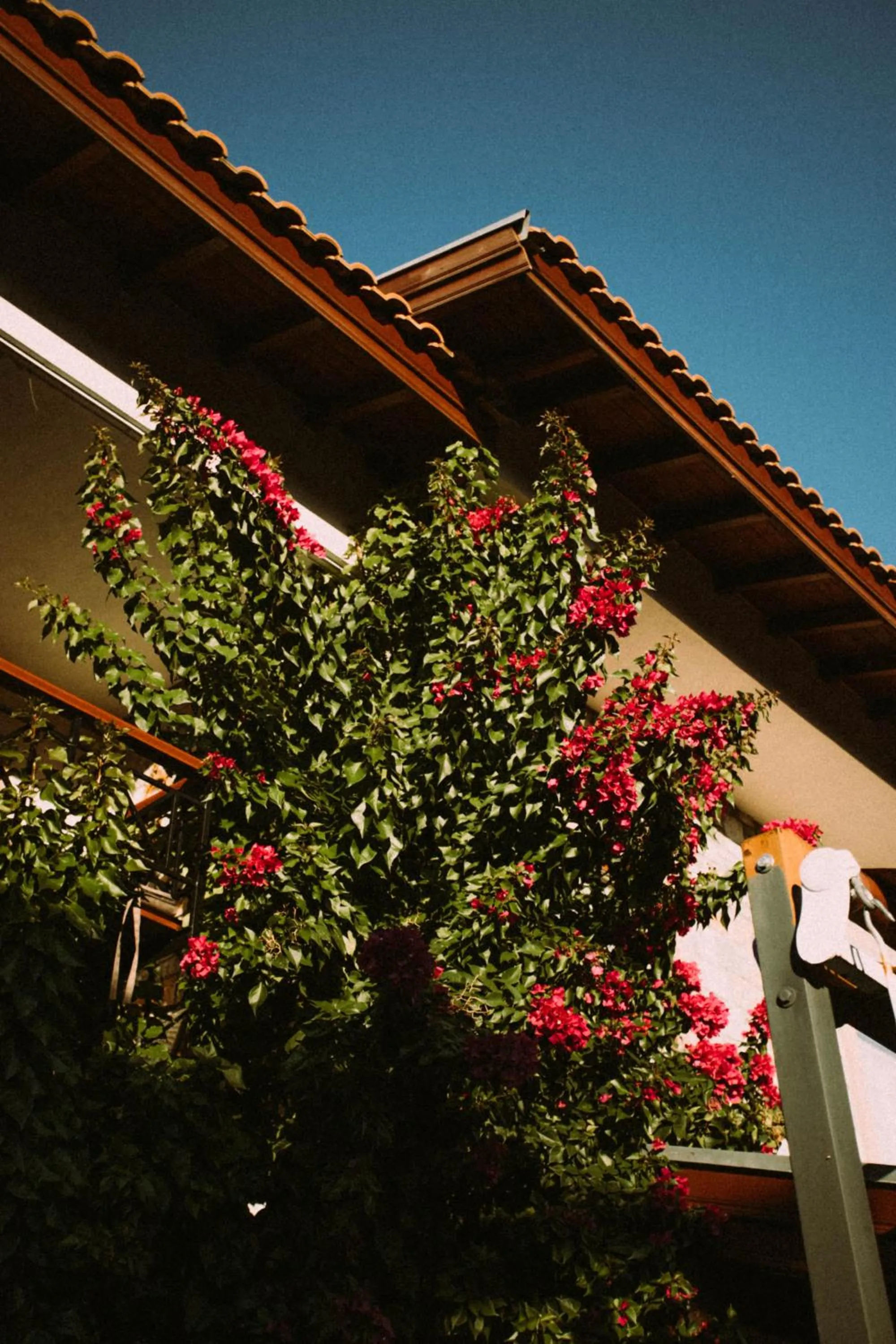 Property building in Vira Suites Hotel