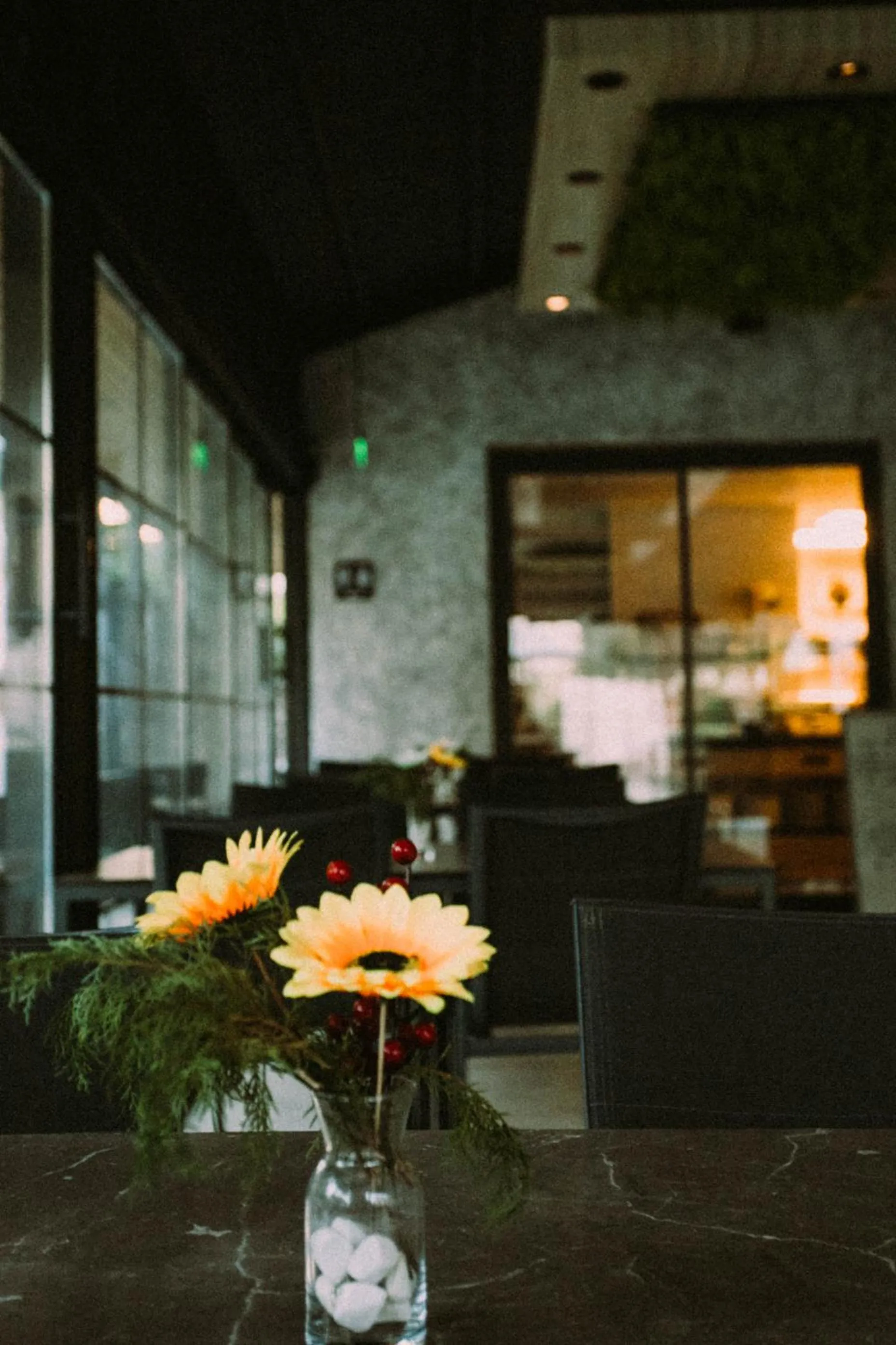 Restaurant/places to eat in Vira Suites Hotel