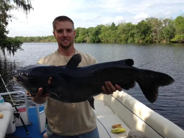 Hontoon Landing Resort & Marina