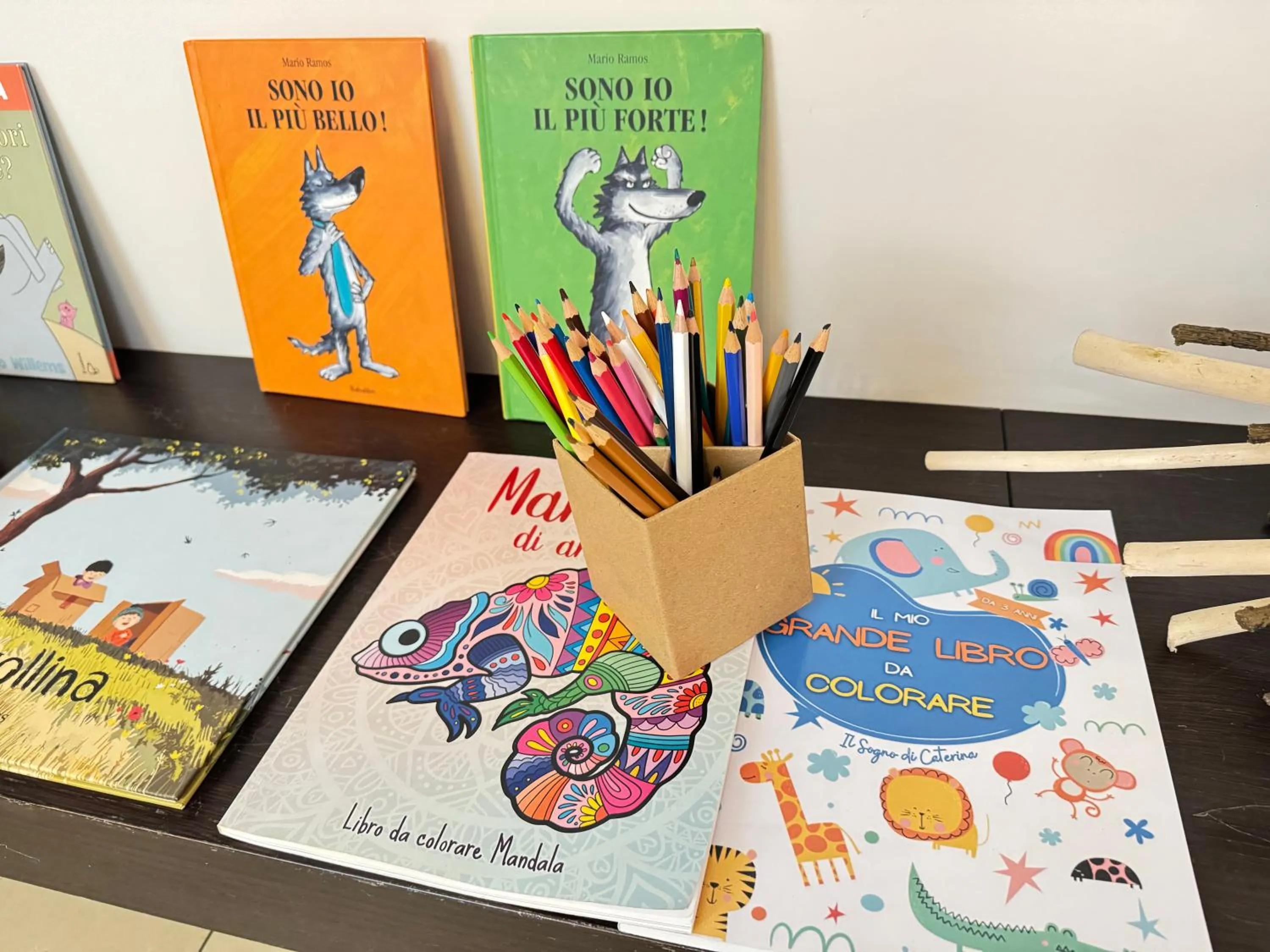 Library in Hotel Casa Poli