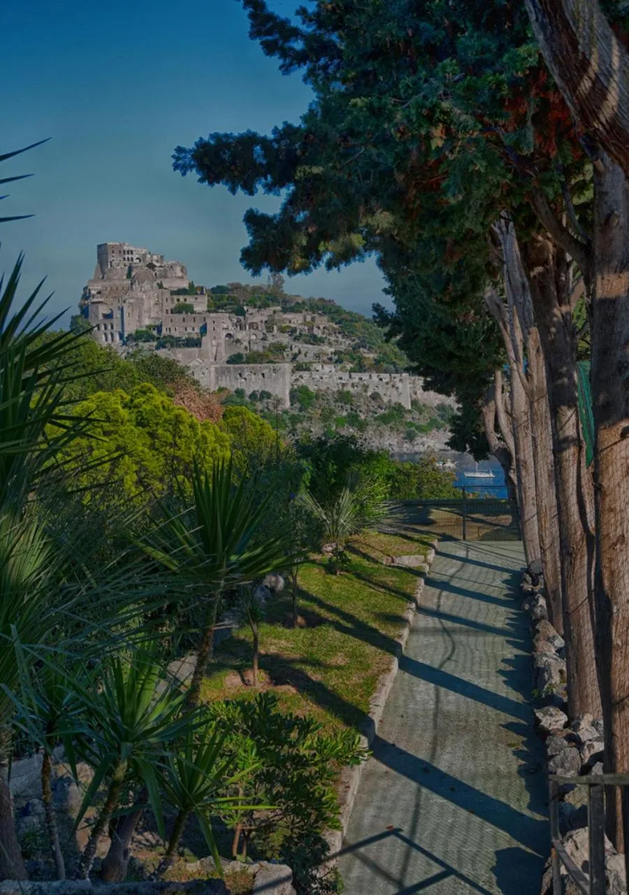 Garden in Hotel Parco Cartaromana