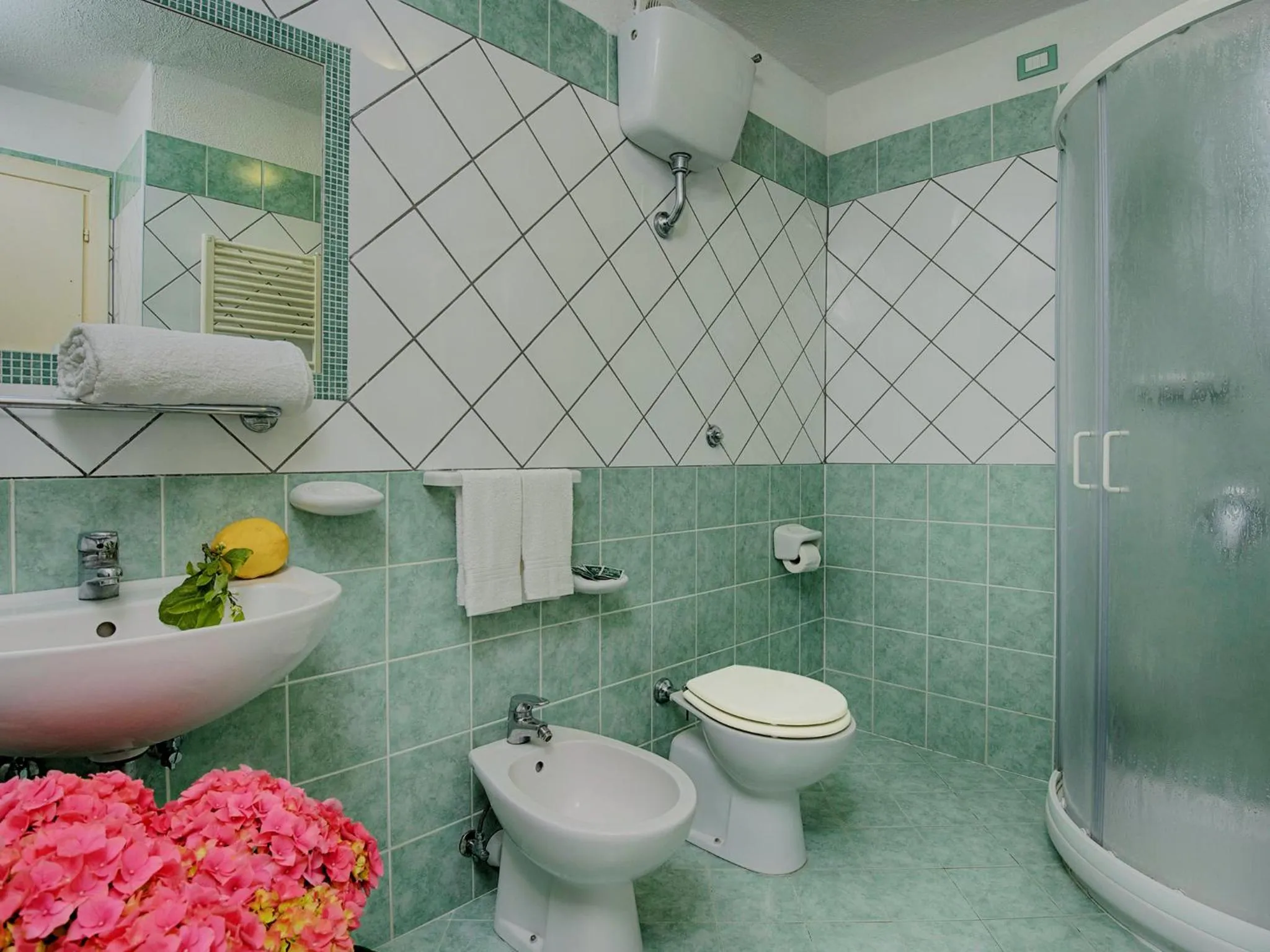 Bathroom in Hotel Parco Cartaromana