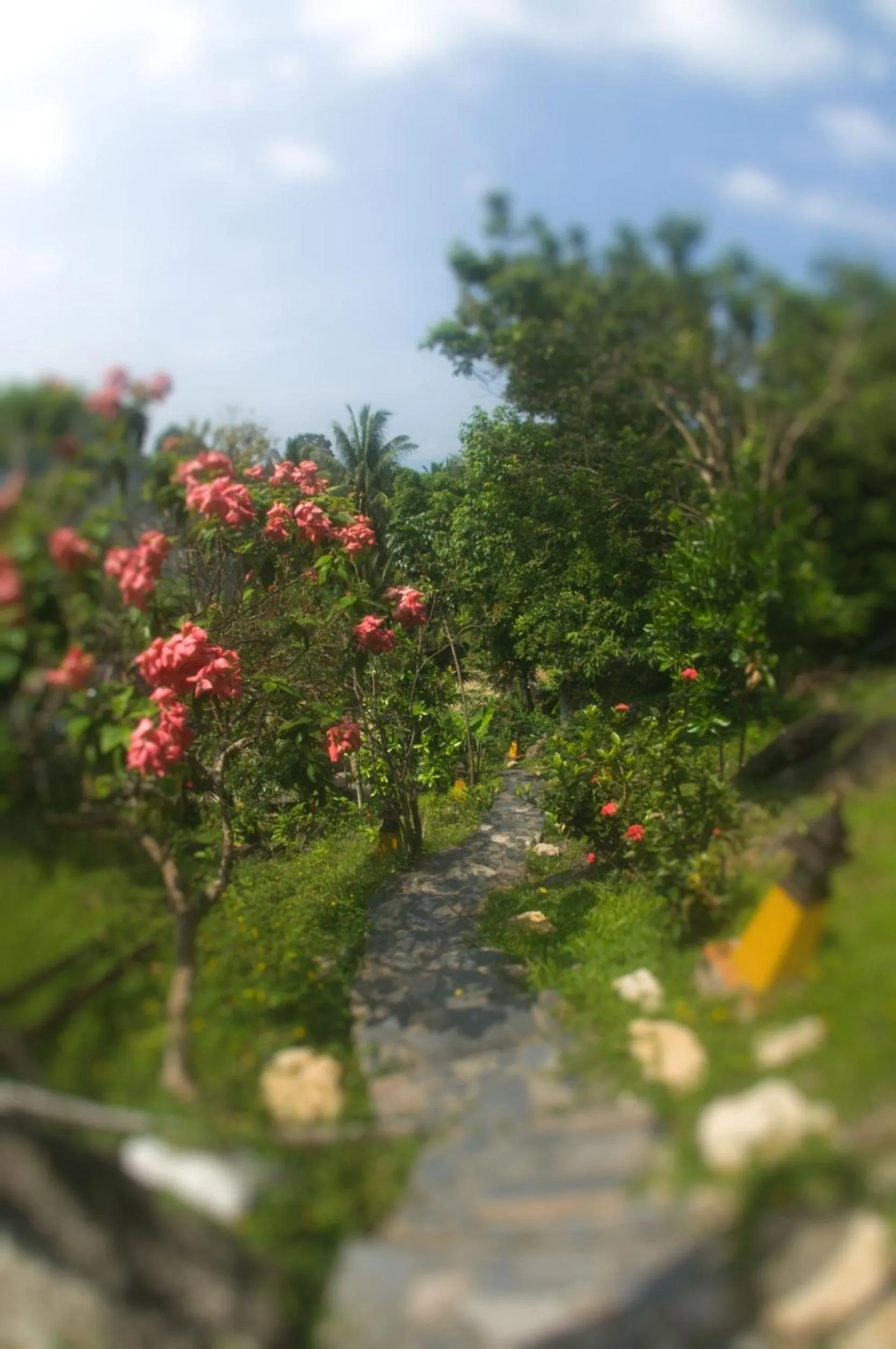 Natural landscape in Kawarin Secret Hut Hotel and Resort