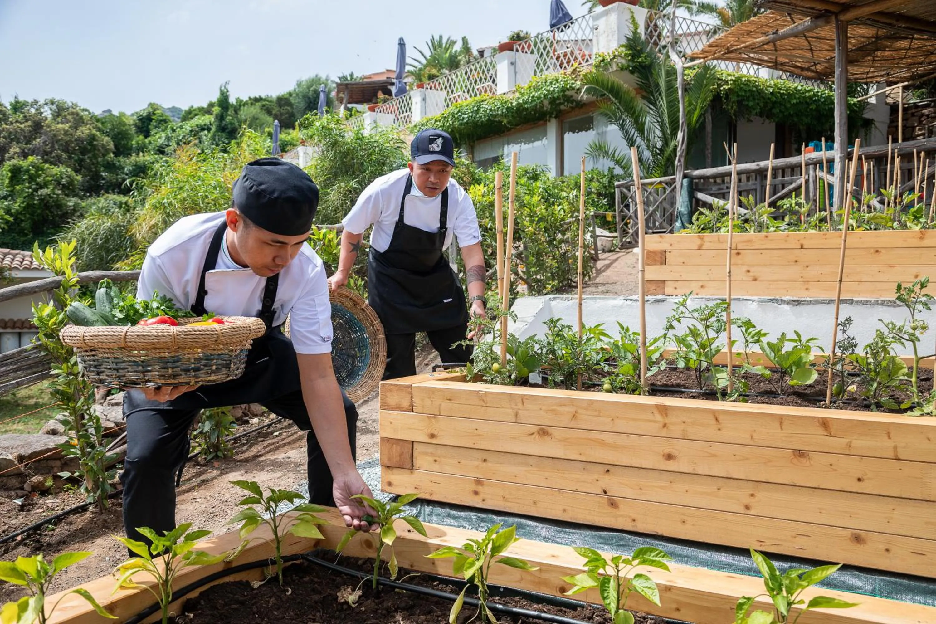 Breakfast in Hotel Balocco