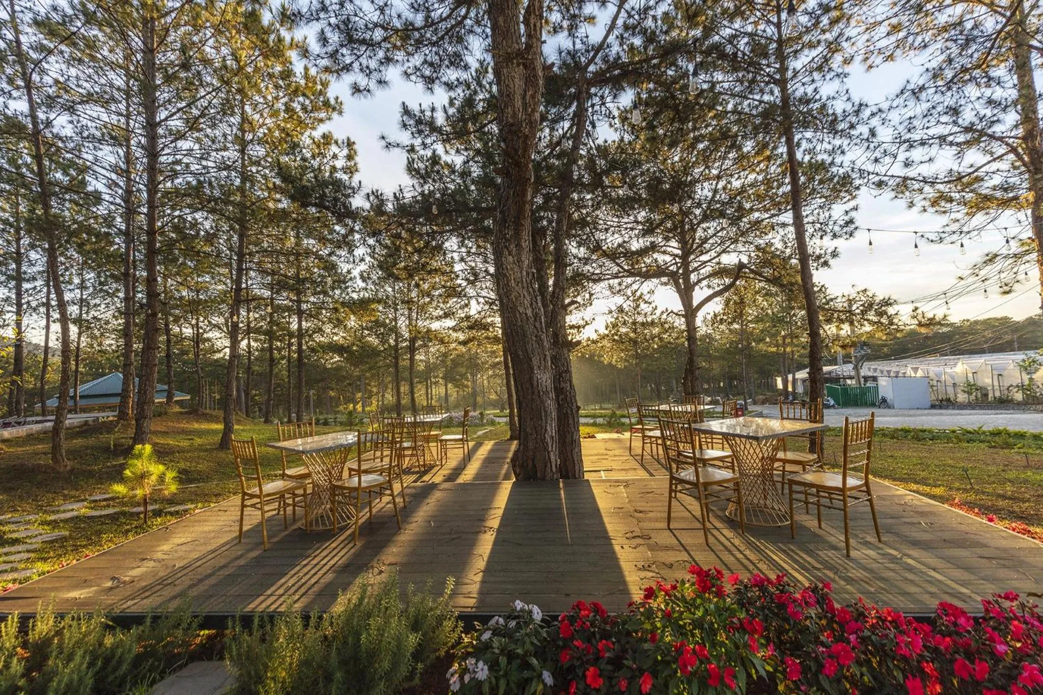 Day in Rừng Lá Kim Resort