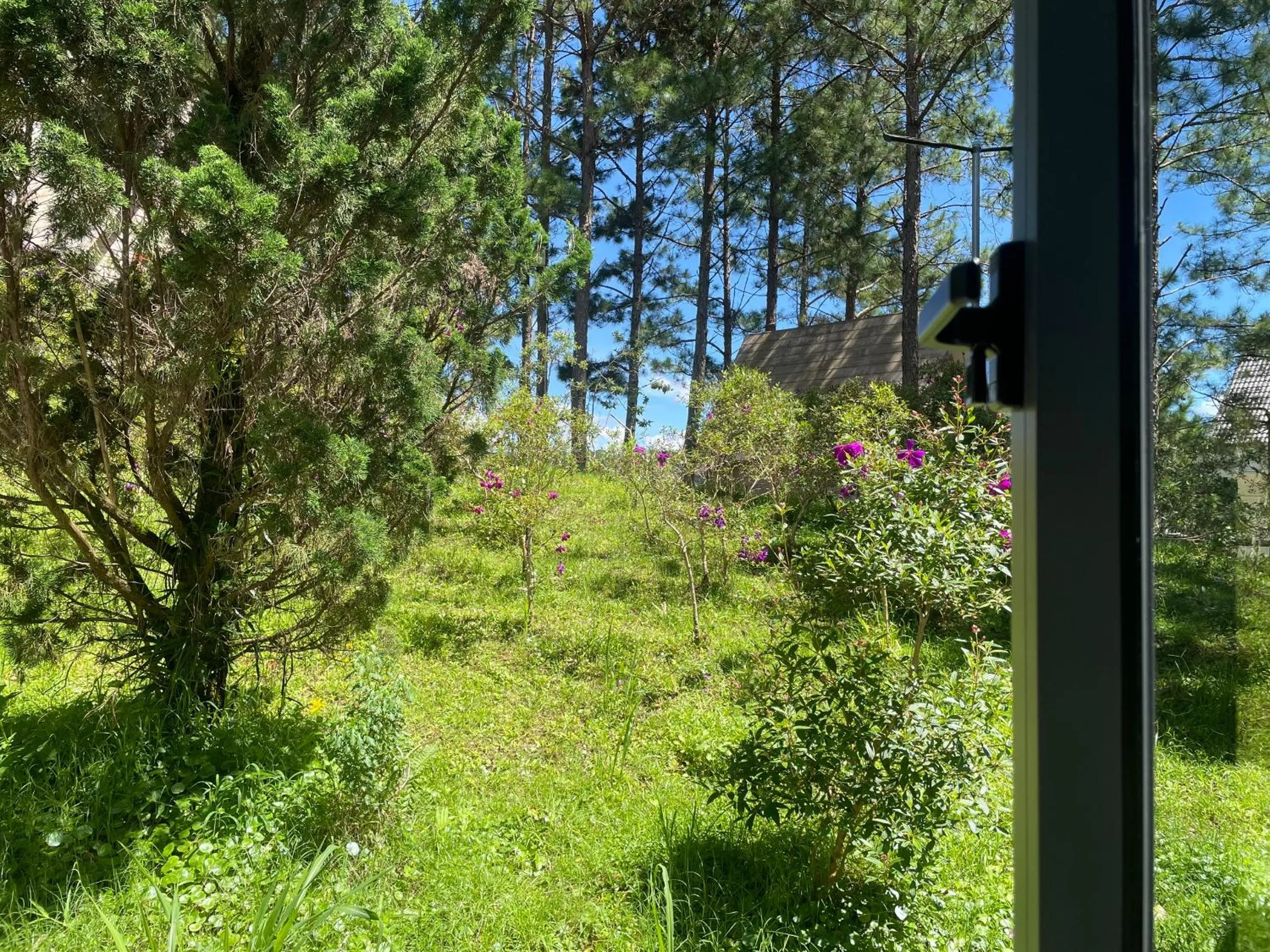 Rừng Lá Kim Resort