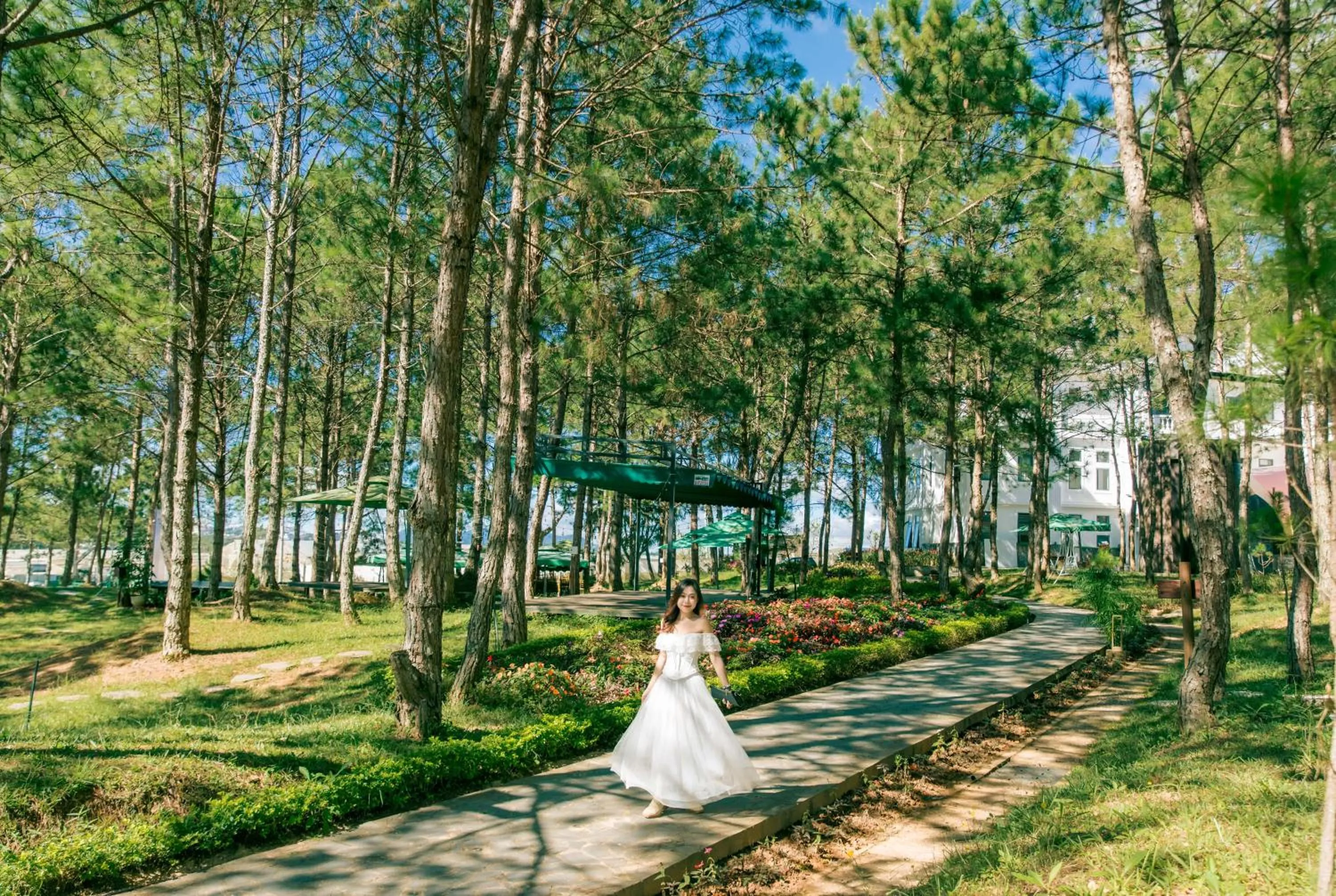 Natural landscape in Rừng Lá Kim Resort