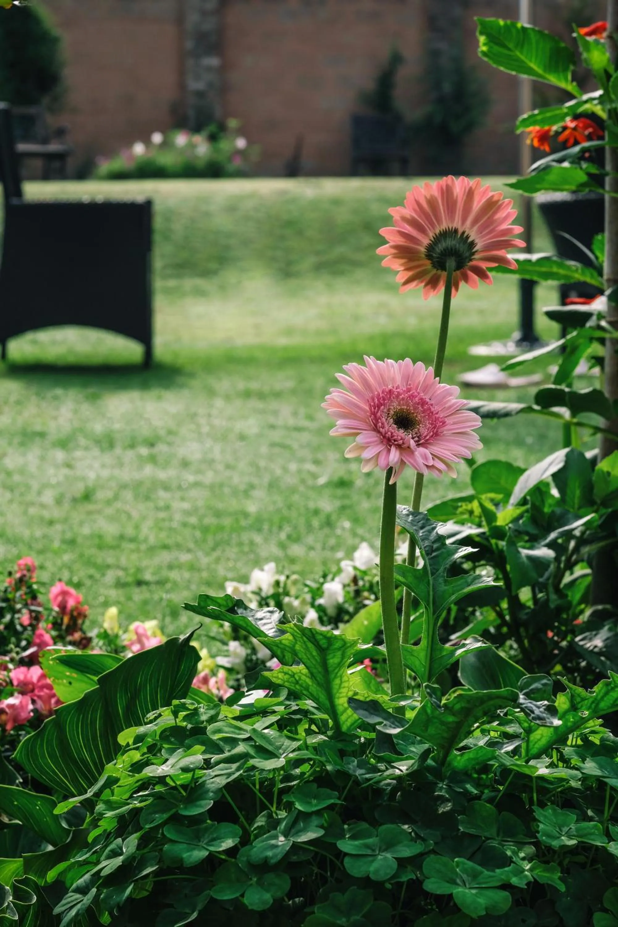 Day in Nadis - A handcrafted boutique hotel