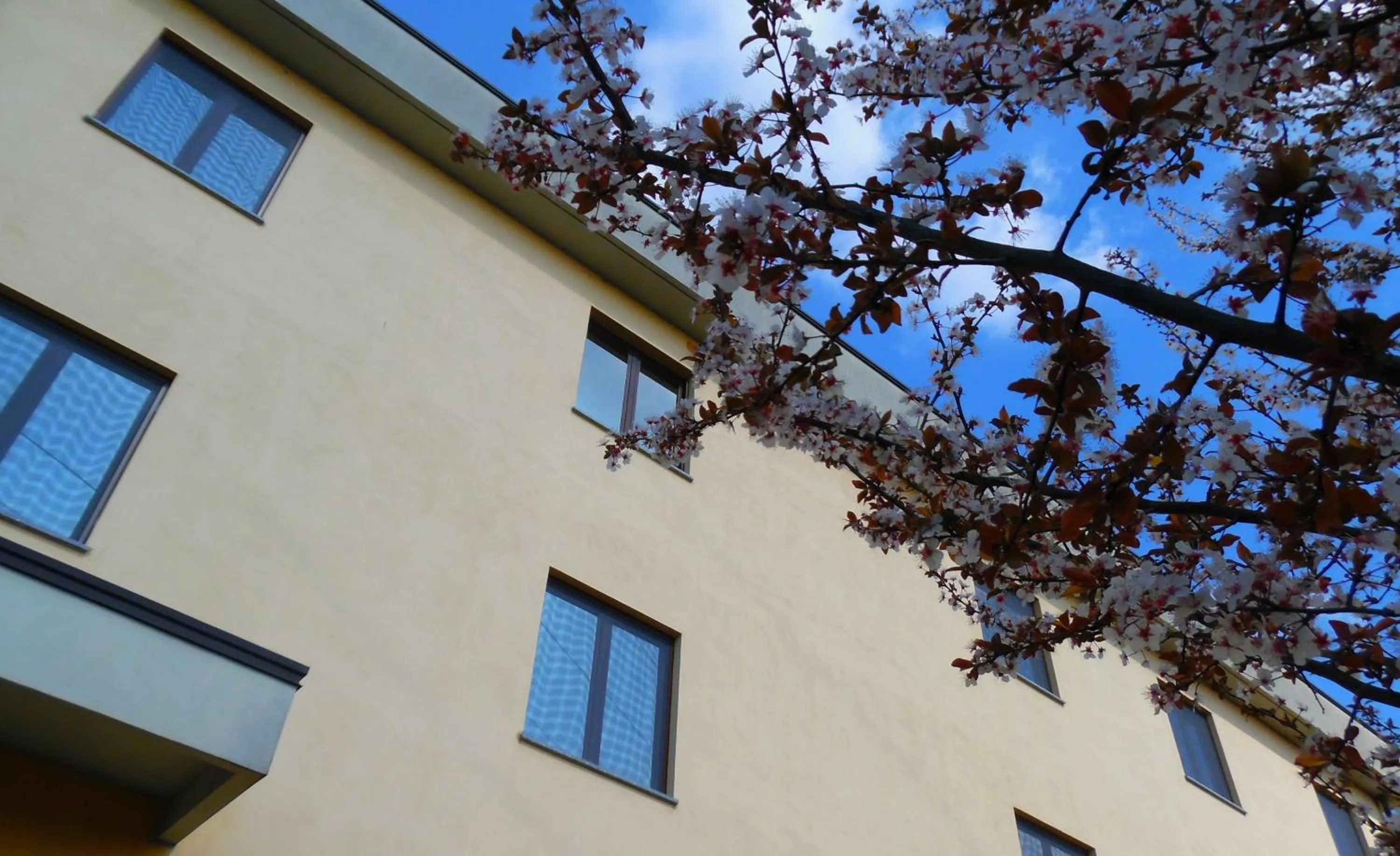 Other in Hotel Majestic